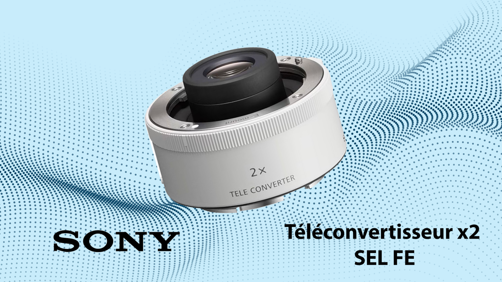 Sony SEL FE x2 - Photo 1 sur 1