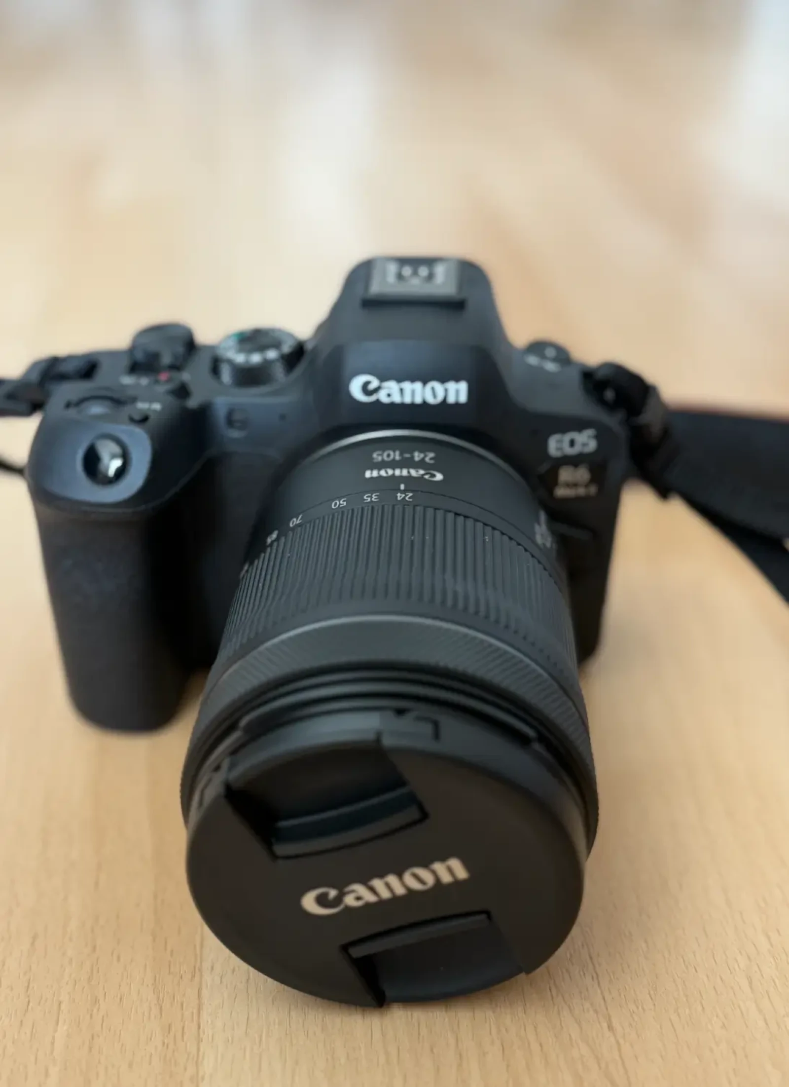 Canon R6 Mark II - Photo 2 sur 3