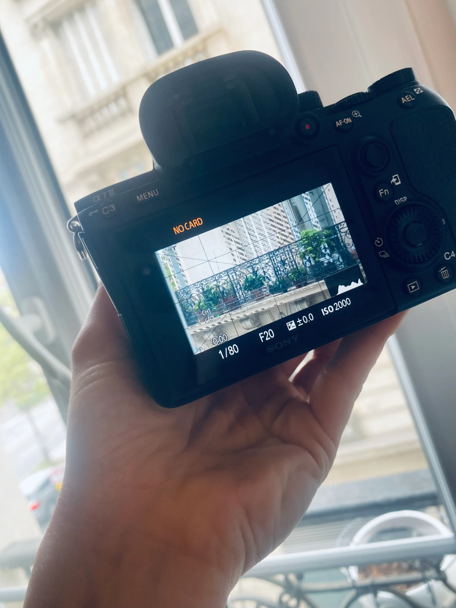 Sony Alpha 7 III (A73) - Photo 1 sur 4