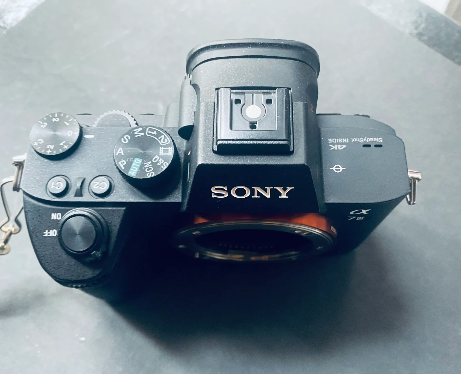 Sony Alpha 7 III (A73) - Photo 3 sur 4