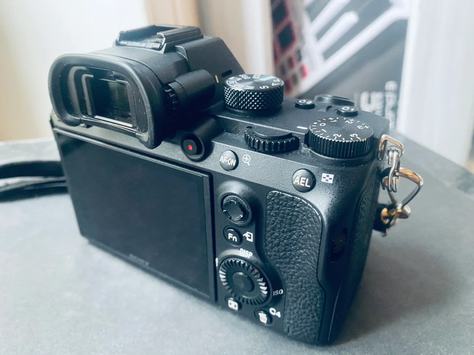 Sony Alpha 7 III (A73) - Photo 4 sur 4