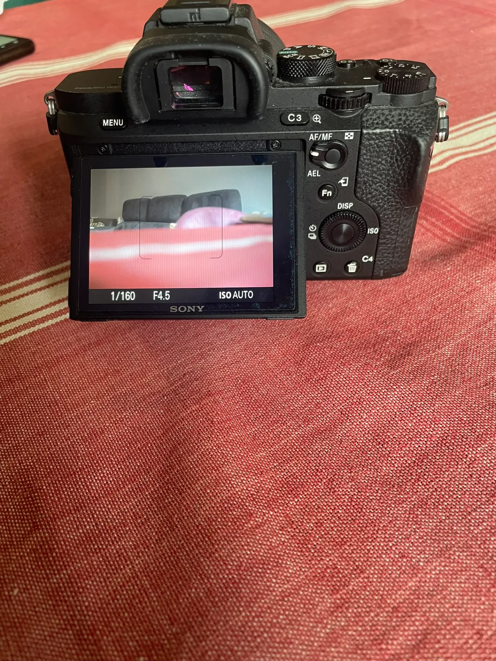Sony Alpha 7S II (A7S2) - Photo 2 sur 5