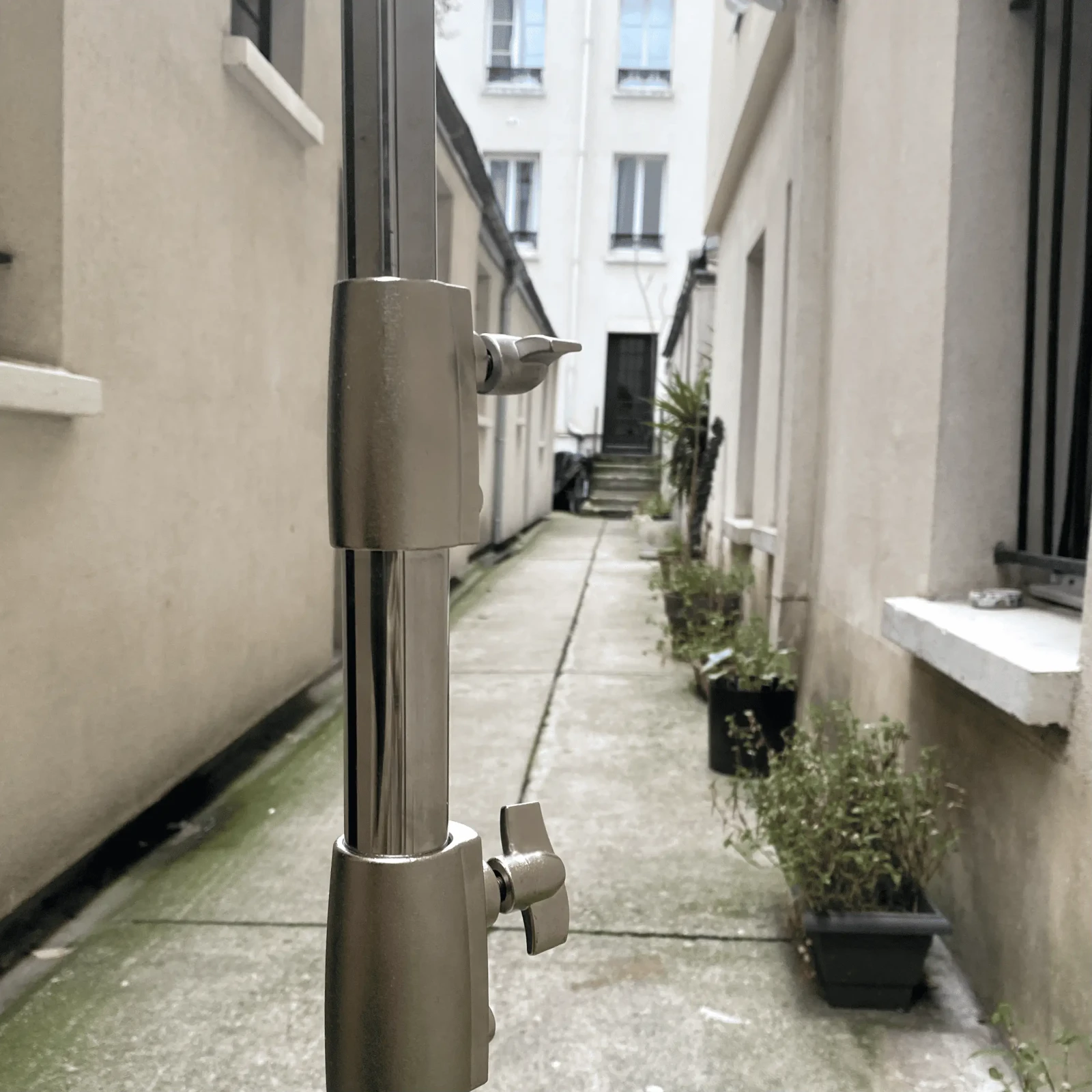 Soonpho Pied de 1000 - Photo 3 sur 4