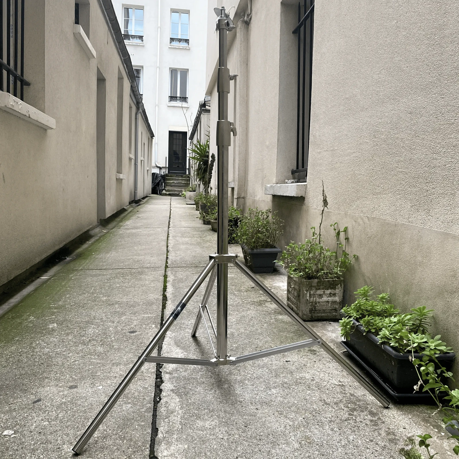 Soonpho Pied de 1000 - Photo 1 sur 4