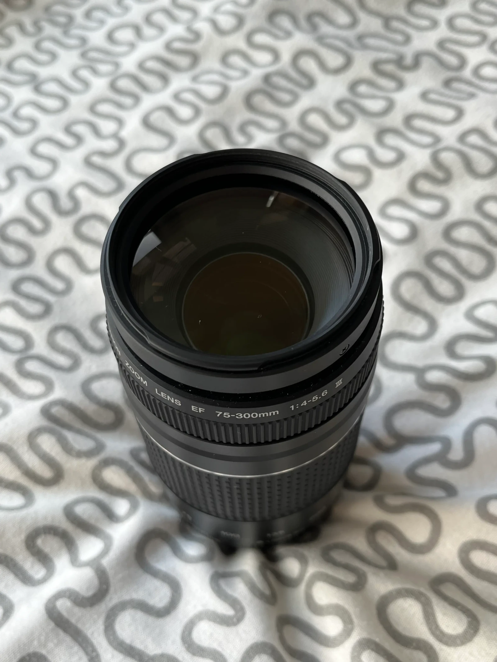 Canon EF 75-300mm f/4-5.6 III - Photo 2 sur 2