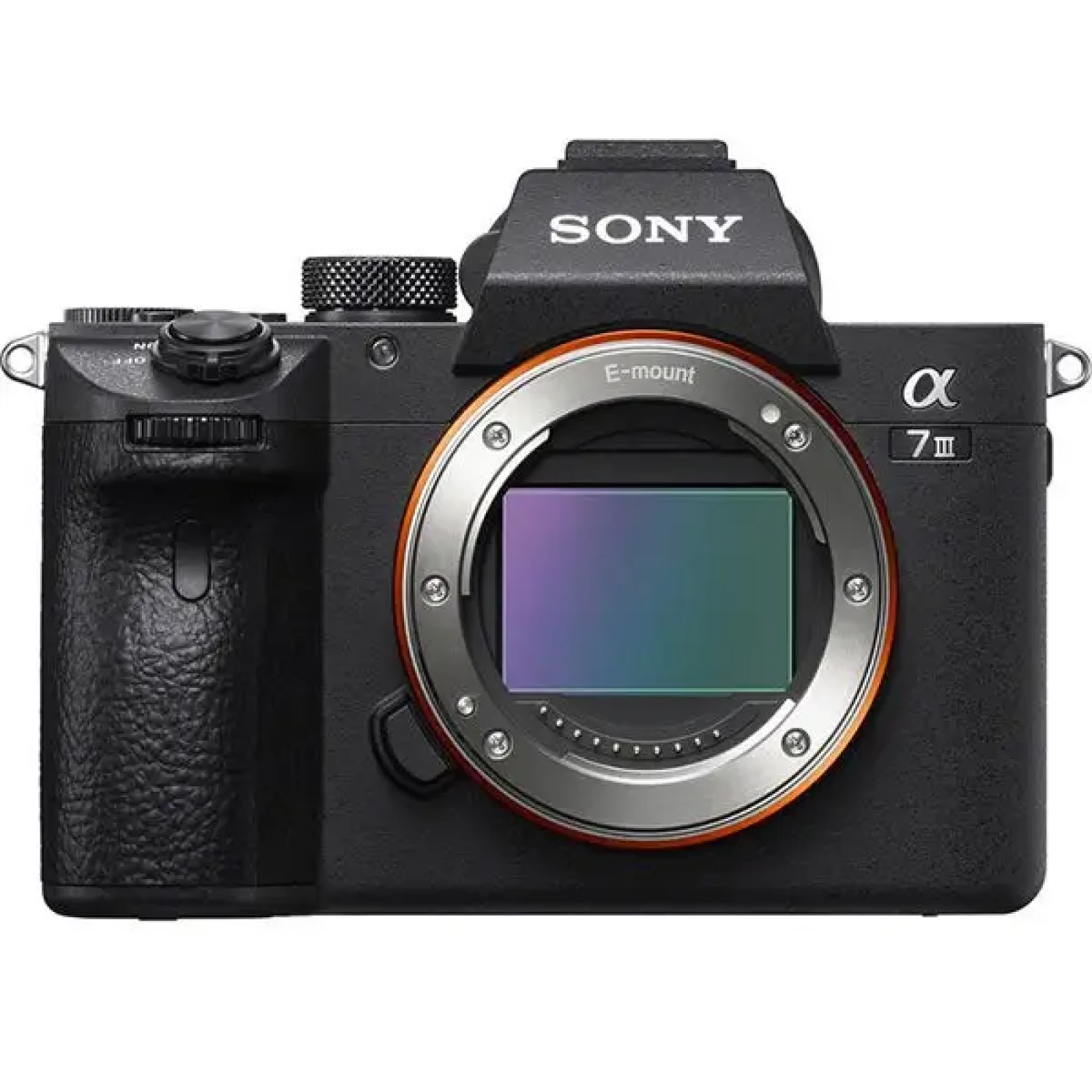 Sony Alpha 7 III (A73) - Photo 1 sur 3