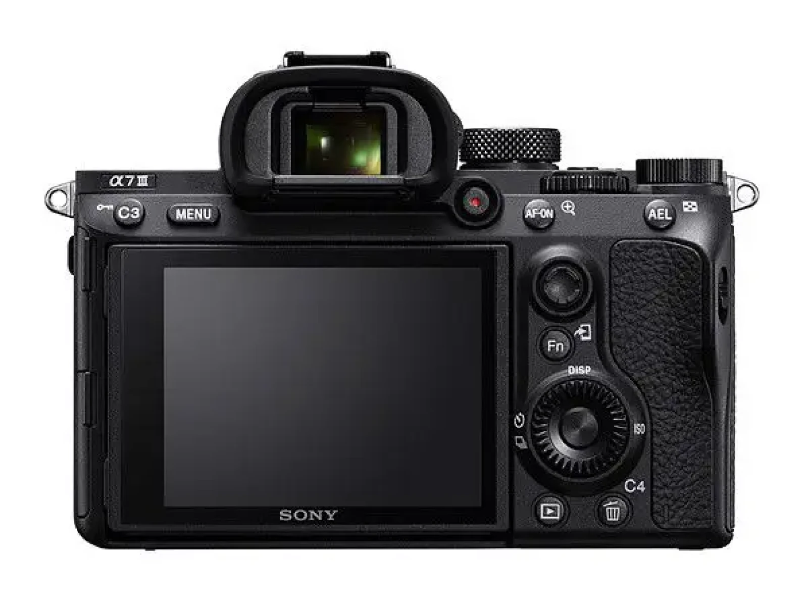 Sony Alpha 7 III (A73) - Photo 1 sur 3