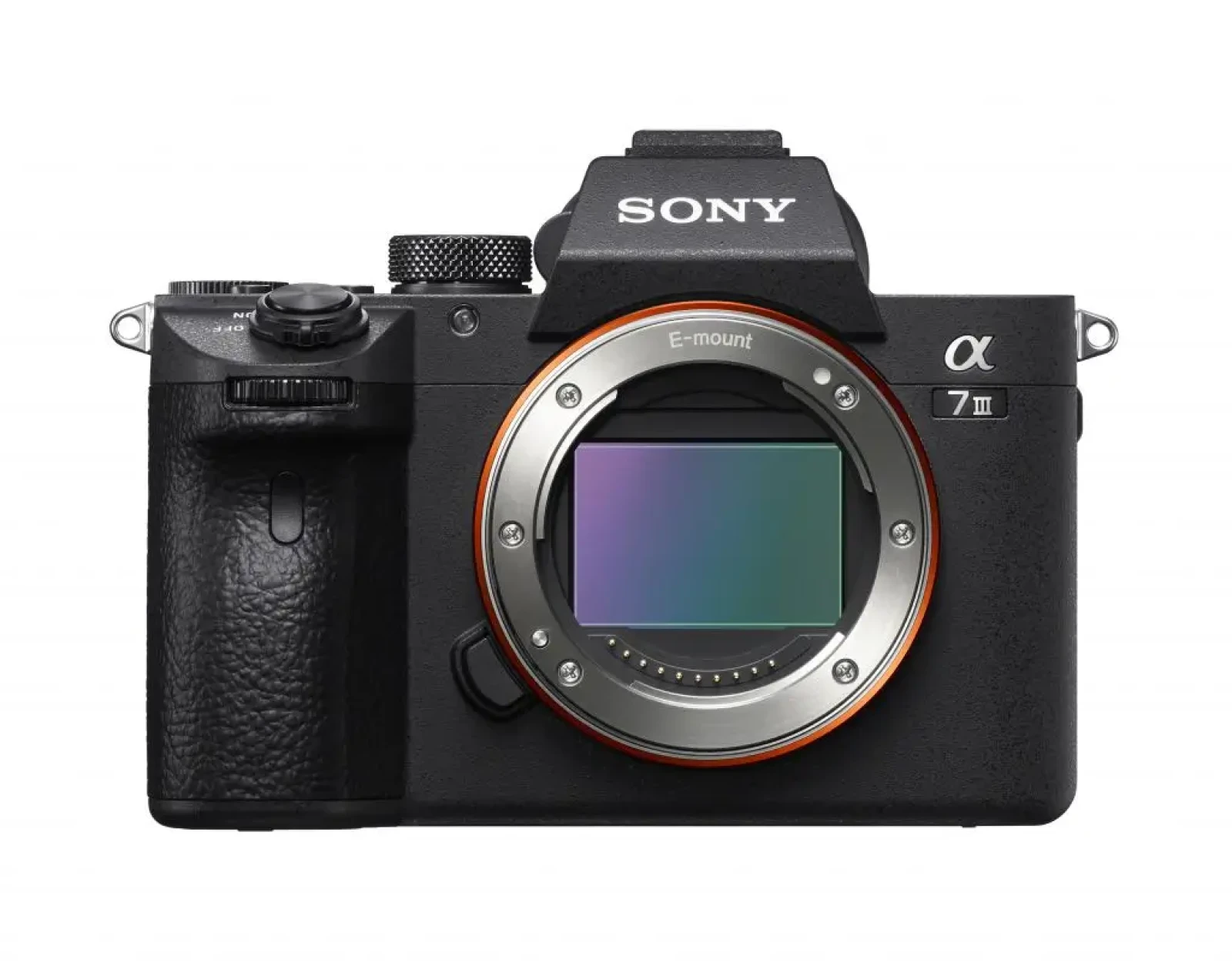 Sony Alpha 7 III (A73) - Photo 2 sur 3