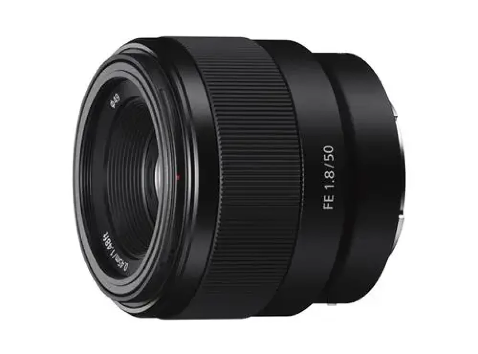 Sony Alpha 7 III (A73) - Photo 5 sur 6