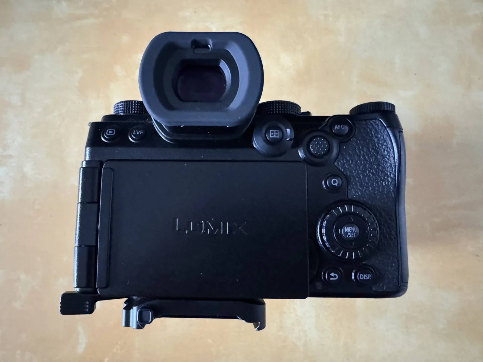 Panasonic Lumix S5 IIx - Photo 3 sur 3