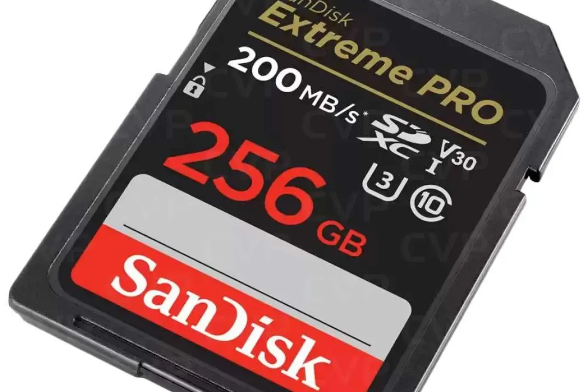 Location SanDisk Carte SD SDXC V90 256 Go - Lightyshare