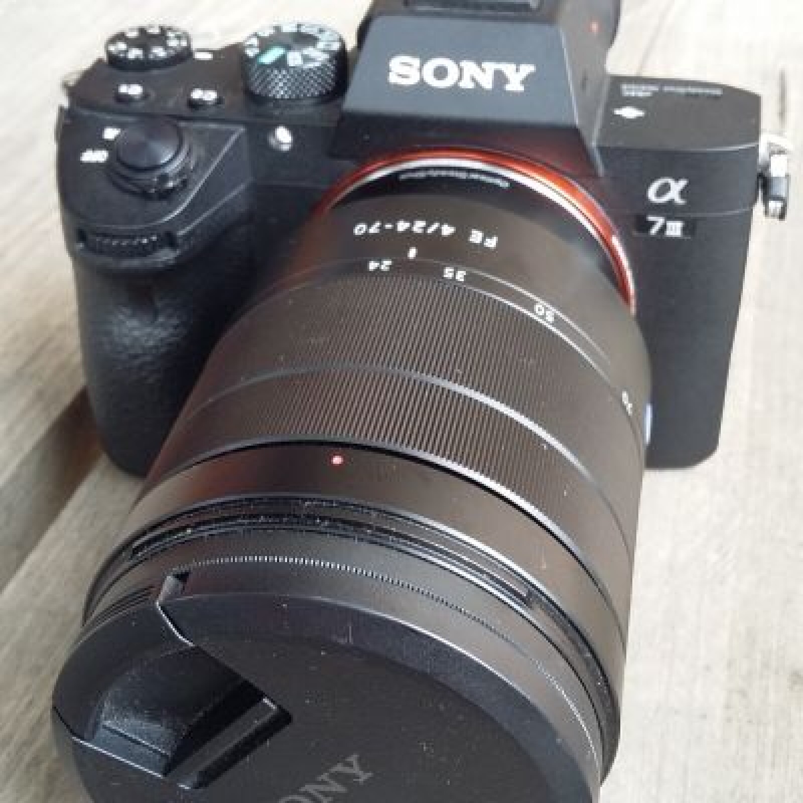 Sony A7III + 24/70 - Photo 1 sur 1