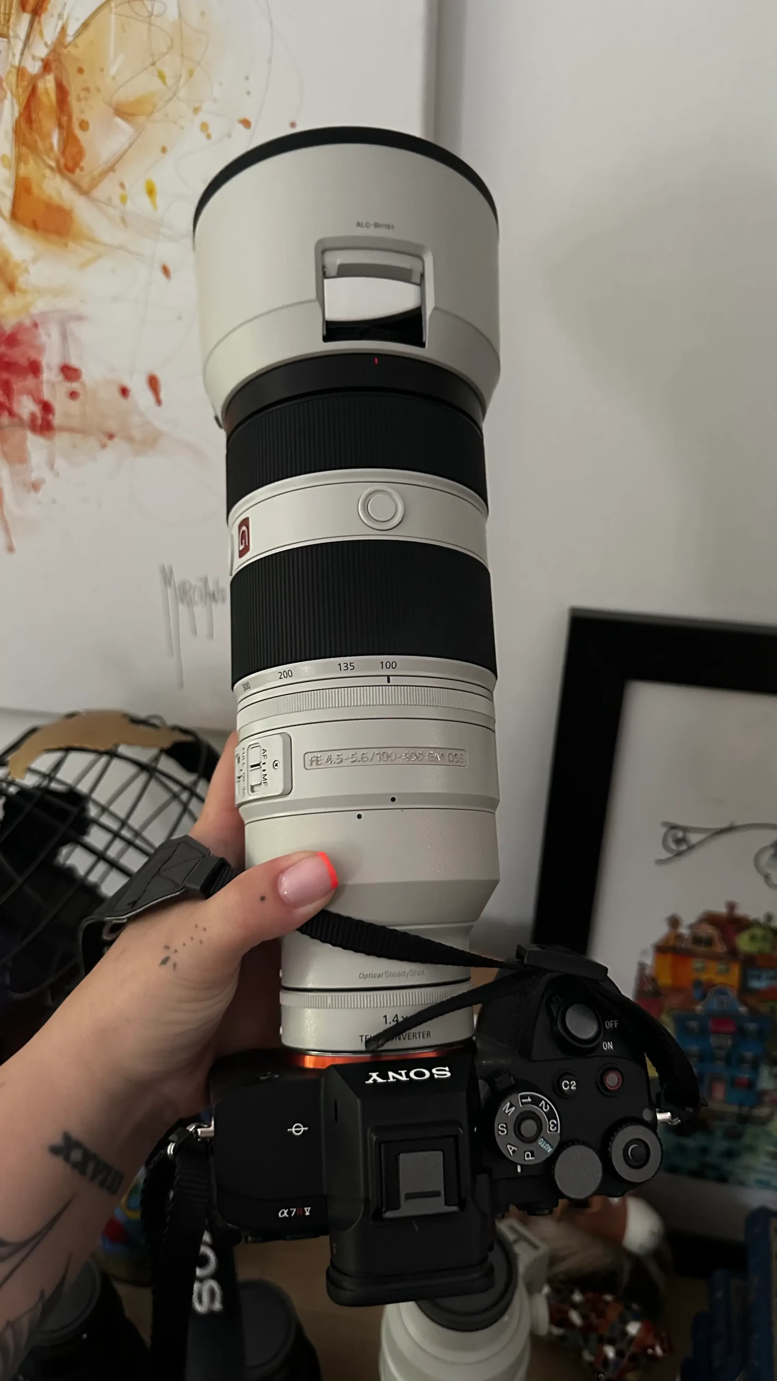Sony FE 100-400mm f/4.5-5.6 GM OSS - Photo 1 sur 1