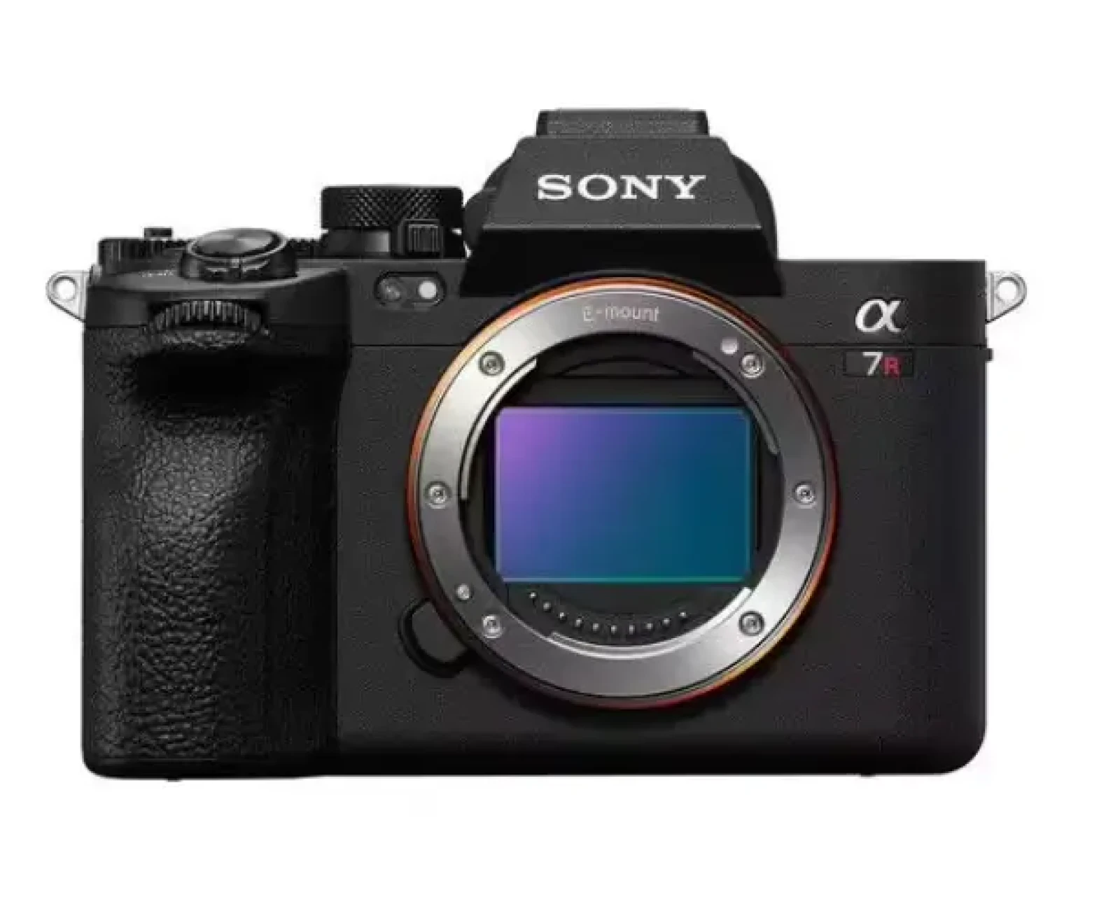 Sony A7R V - Photo 1 sur 1