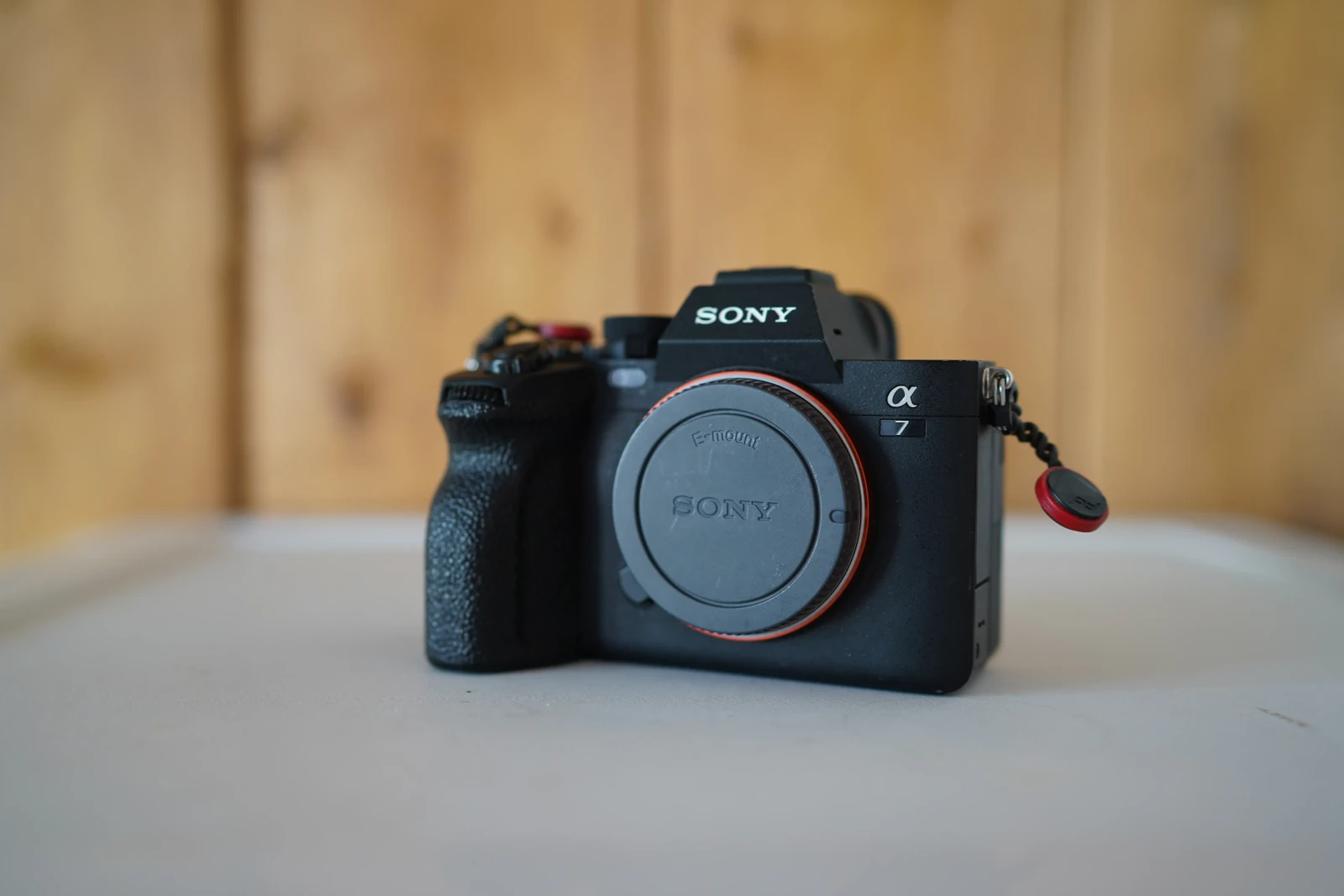 Sony Alpha 7 IV (A74) - Photo 1 sur 3