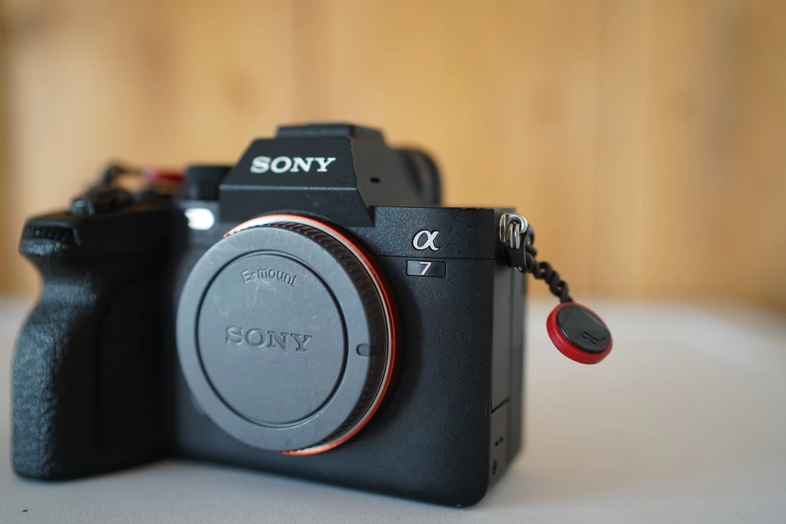 Sony Alpha 7 IV (A74) - Photo 3 sur 3