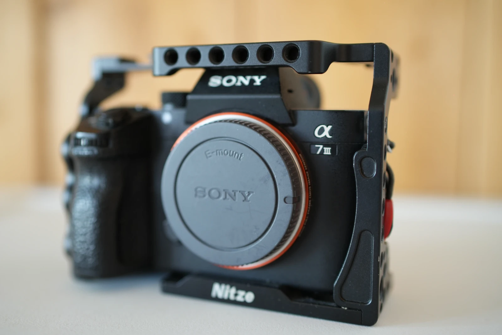 Sony Alpha 7 III (A73) - Photo 1 sur 3