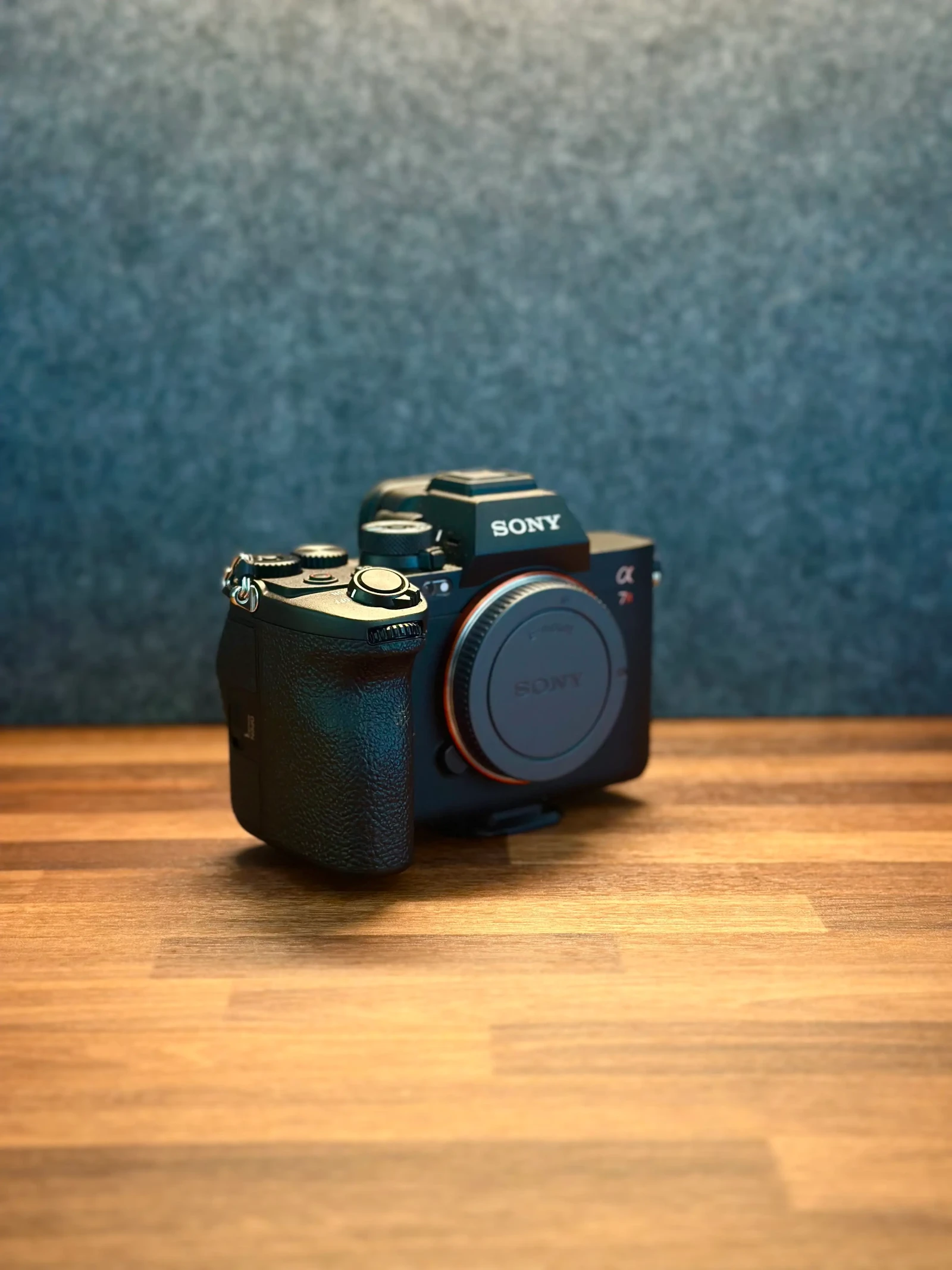 Sony Alpha A7R V (A7R5) - Photo 3 sur 4
