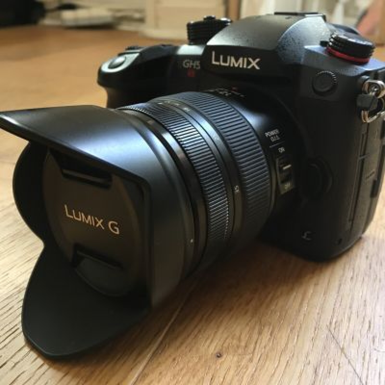 LUMIX GH5S  + Objectif LUMIX 12-35mm f/2.8 avec Power IOS - Photo 2 sur 3