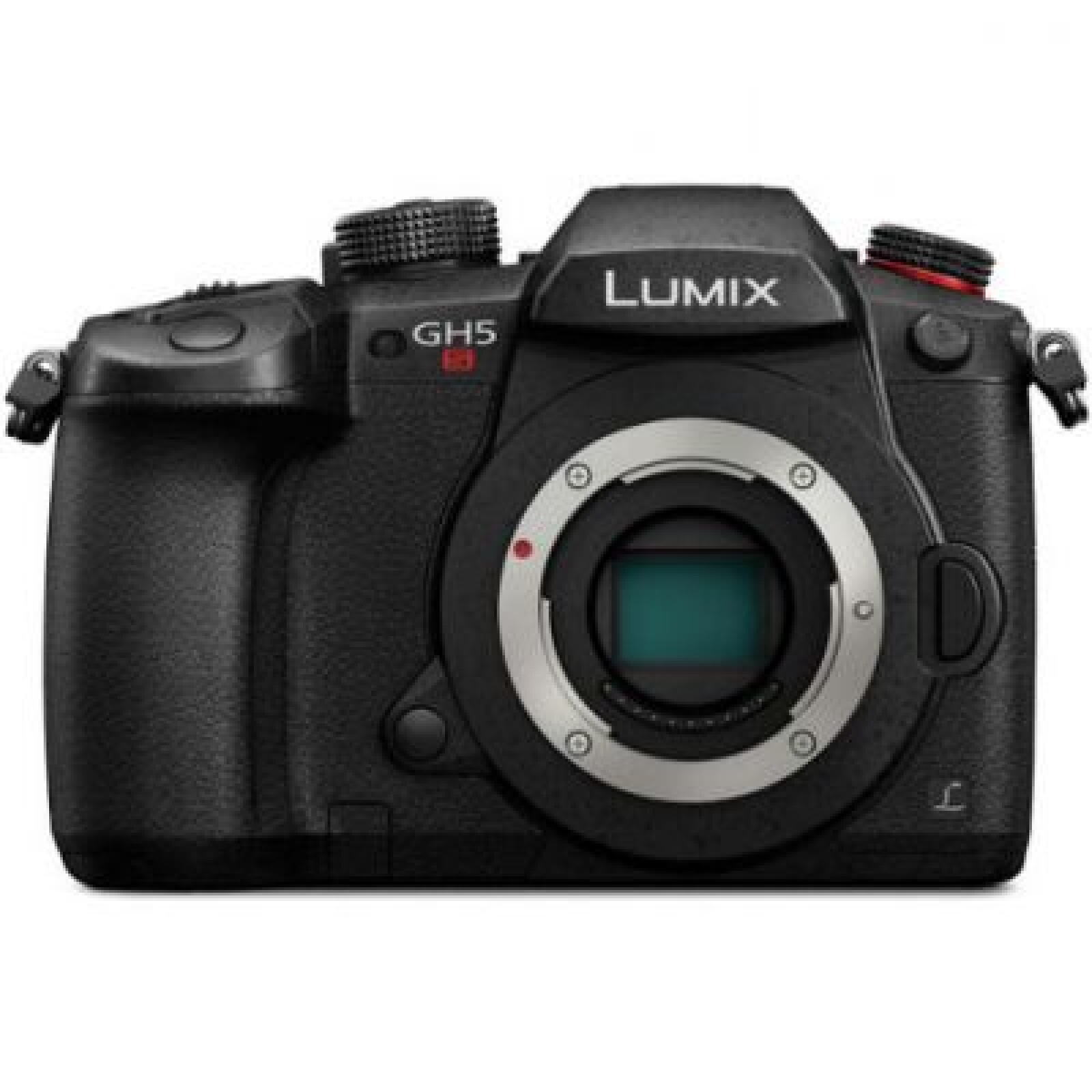 LUMIX GH5S - Photo 1 sur 1