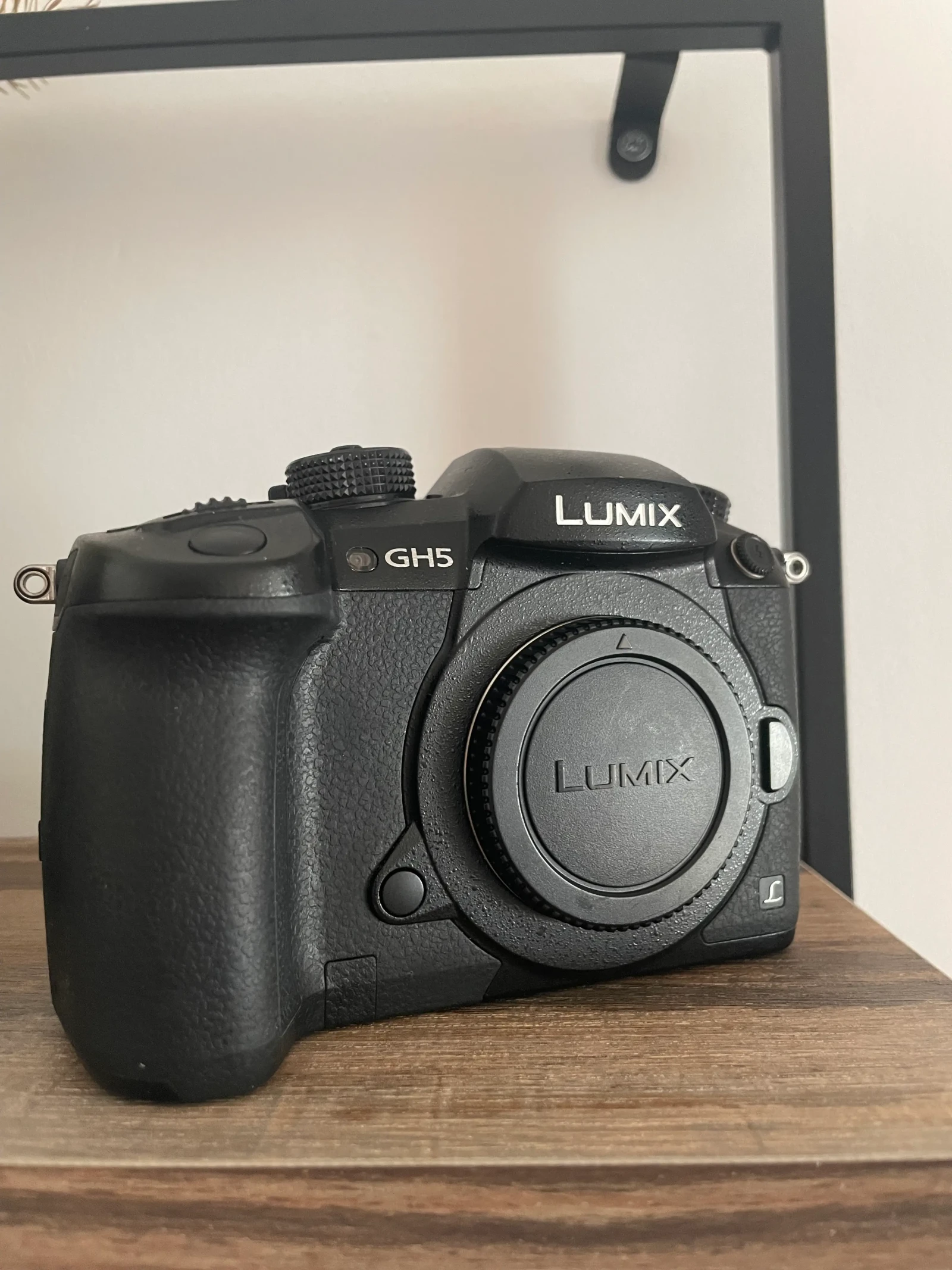 Panasonic LUMIX GH5 - Photo 1 sur 3