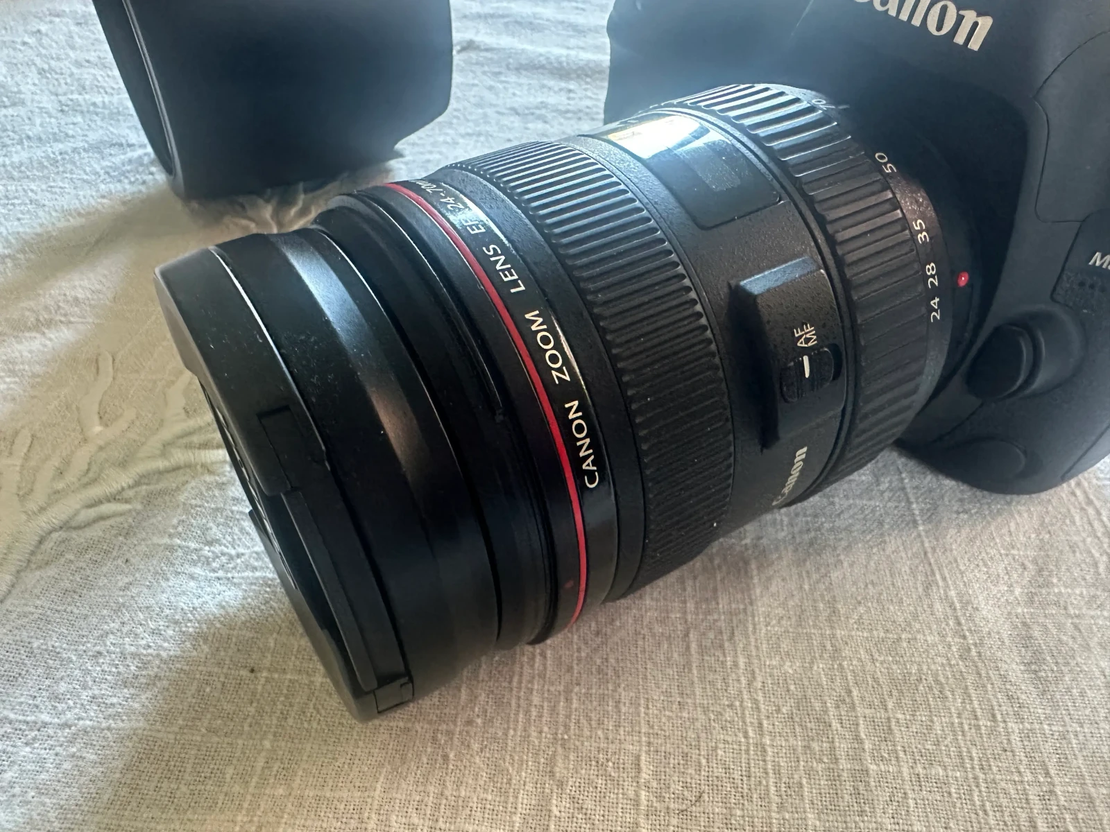 Canon 5D Mark IV + Objectif Canon EF 24-70 mm f/2.8 L USM 77 mm Canon - Photo 4 sur 5