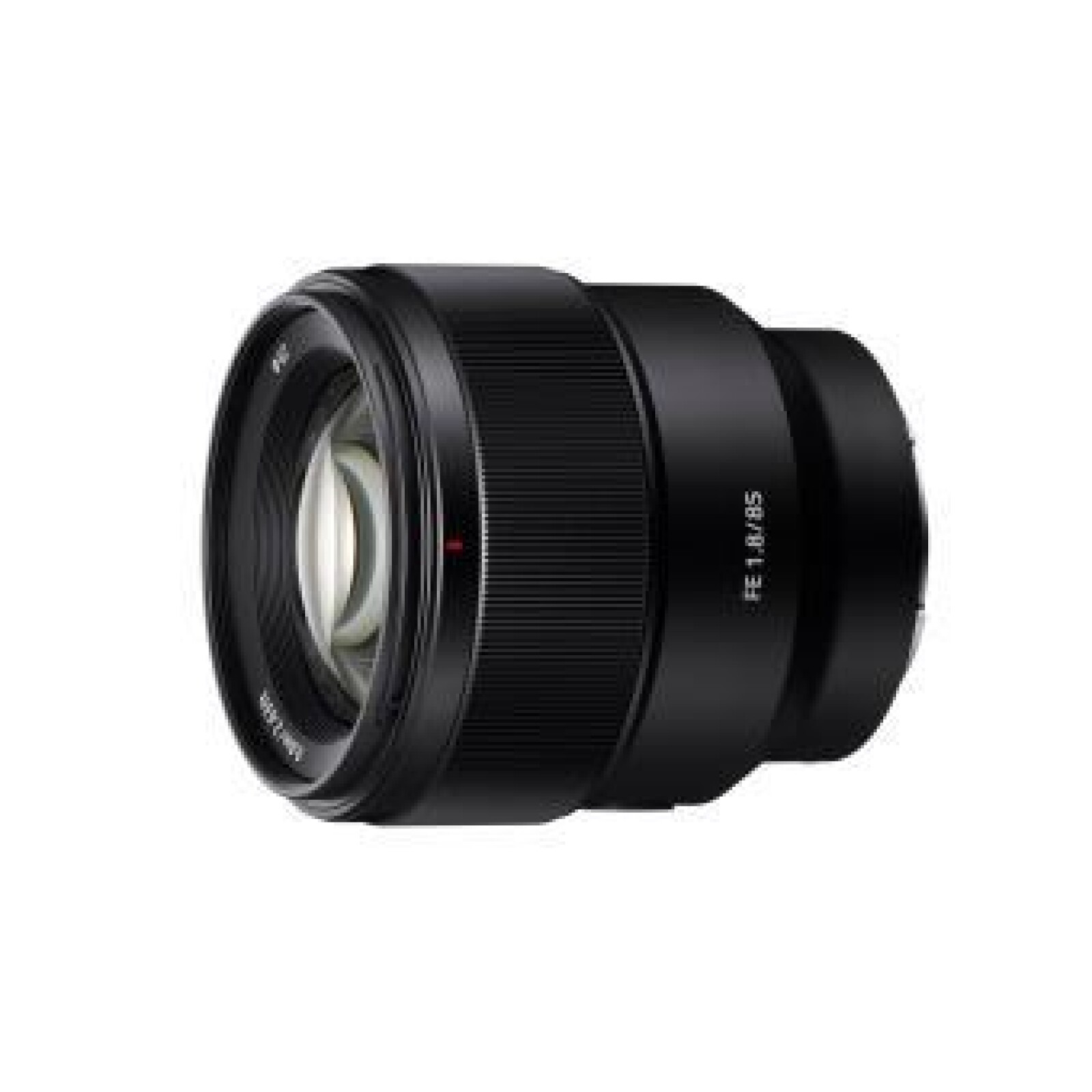 Sony FE 85mm f/1.4 GM - Photo 1 sur 1