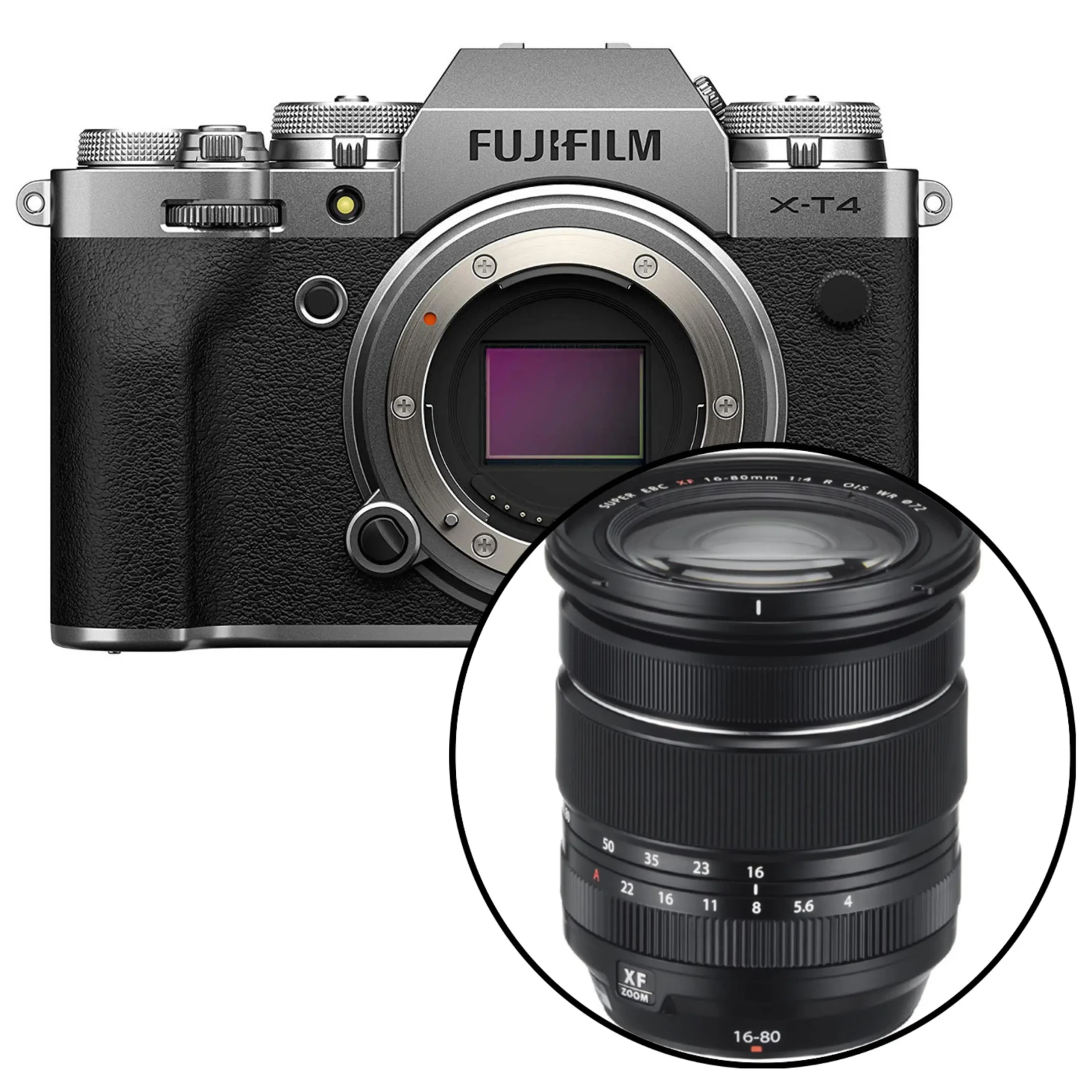 Fujifilm XT4 + Fujifilm 16-80mm f4 - Photo 1 sur 1