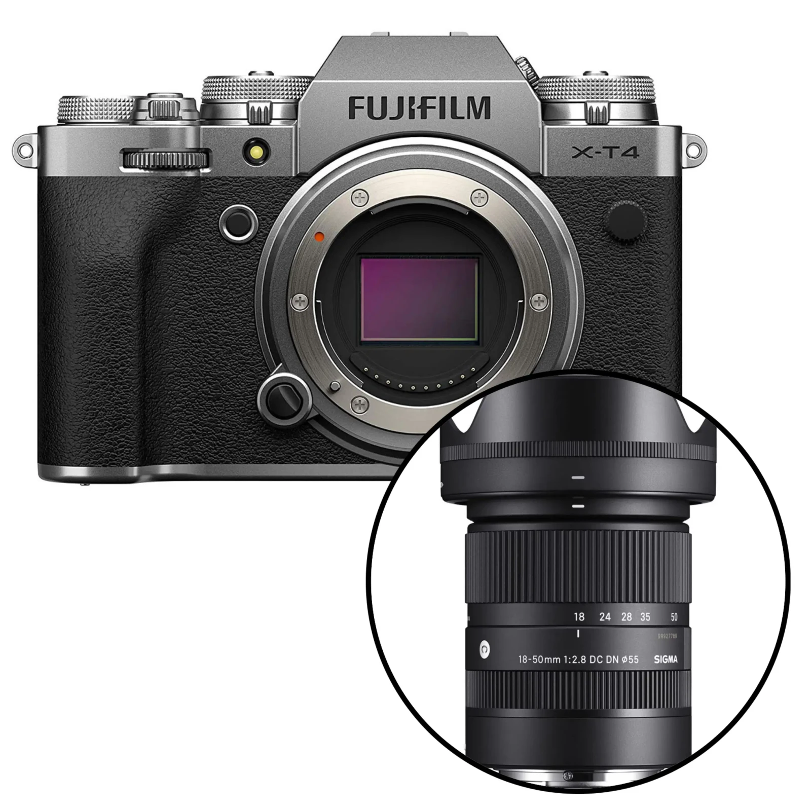 Fujifilm XT4 + Sigma 18-55mm f2.8 - Photo 1 sur 1