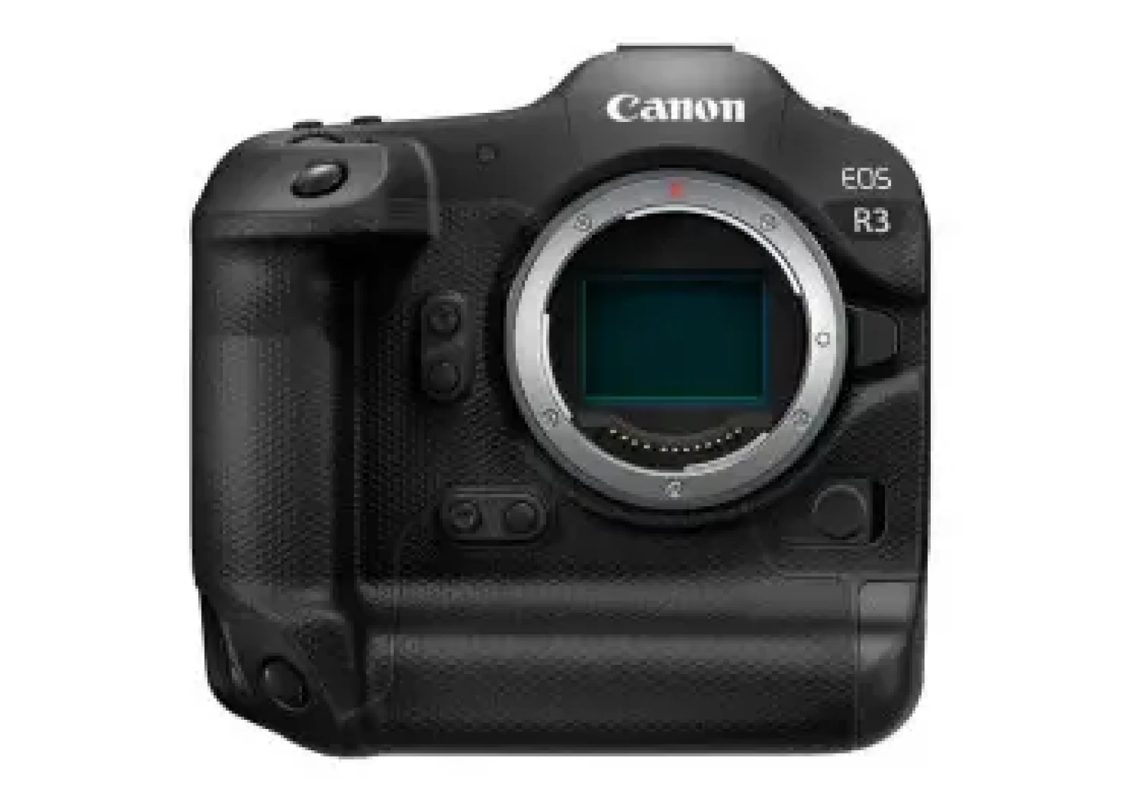 Canon R3 - Photo 1 sur 1