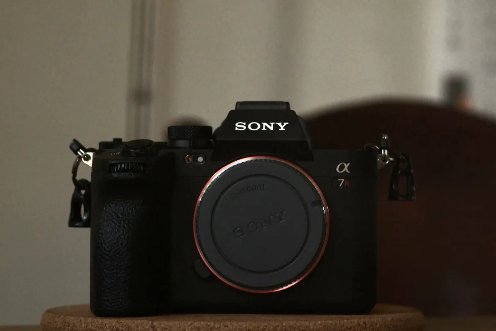 Sony Alpha 7R V (A7R5) + FE 28-70mm / f2.0 GM - Photo 1 sur 3