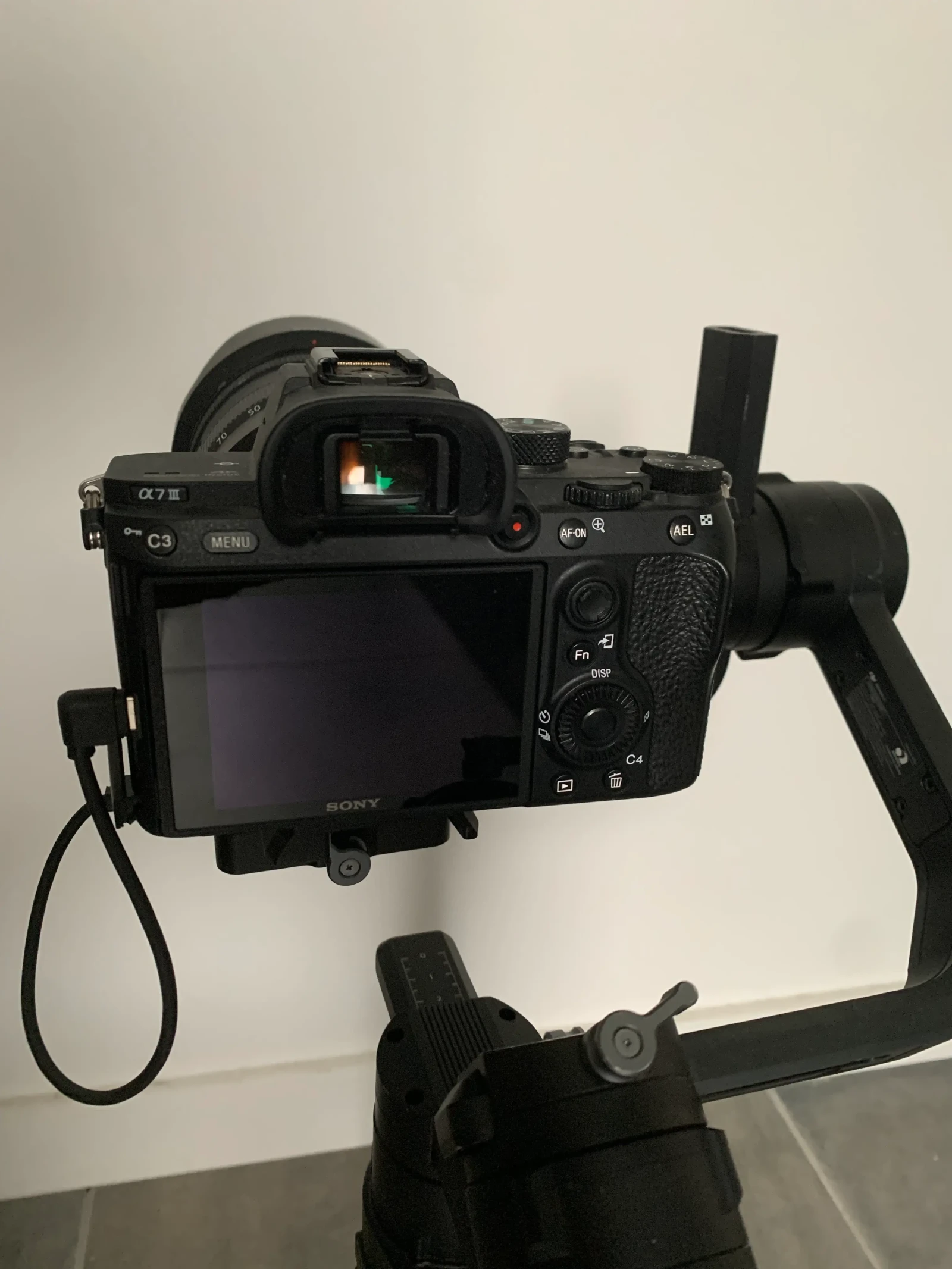 Sony Alpha 7 III - Photo 3 sur 3