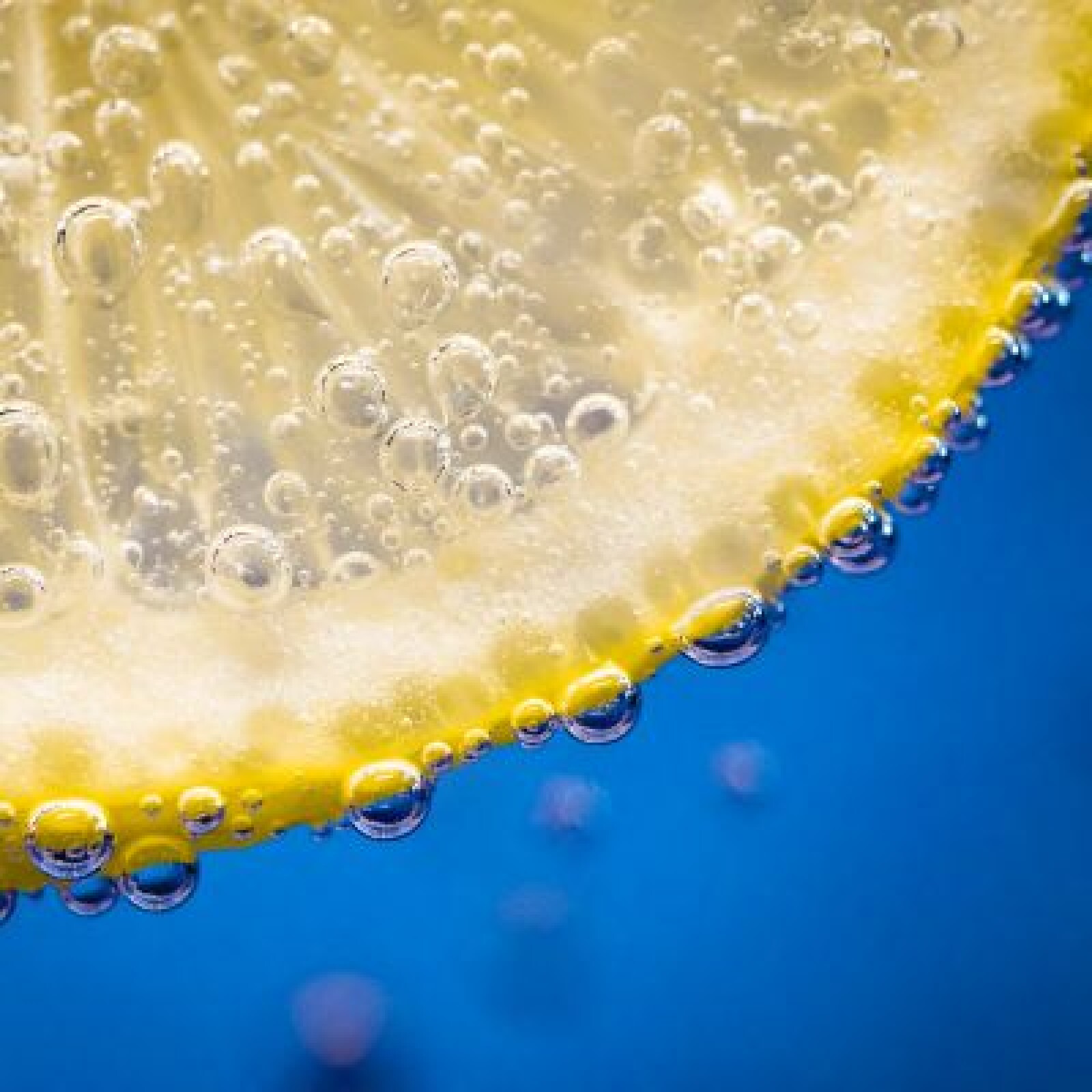 Nikon 60mm macro AF f/2.8D Micro-Nikkor - Photo 3 sur 5