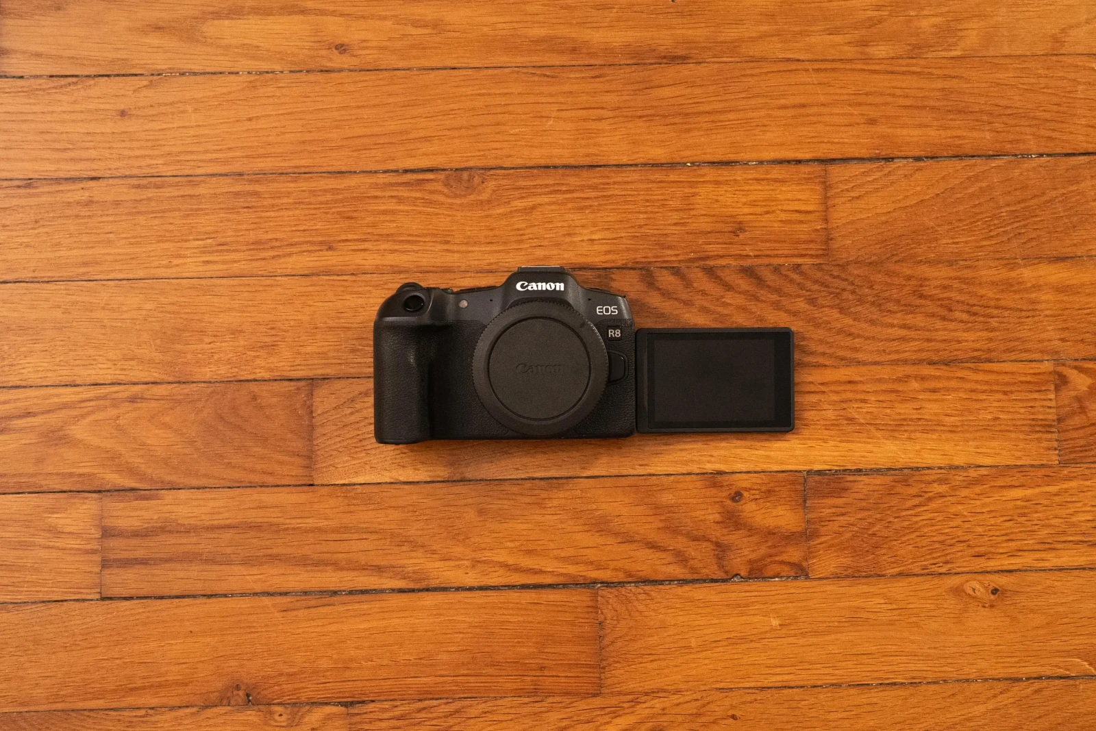 Canon R8 - Photo 2 sur 4