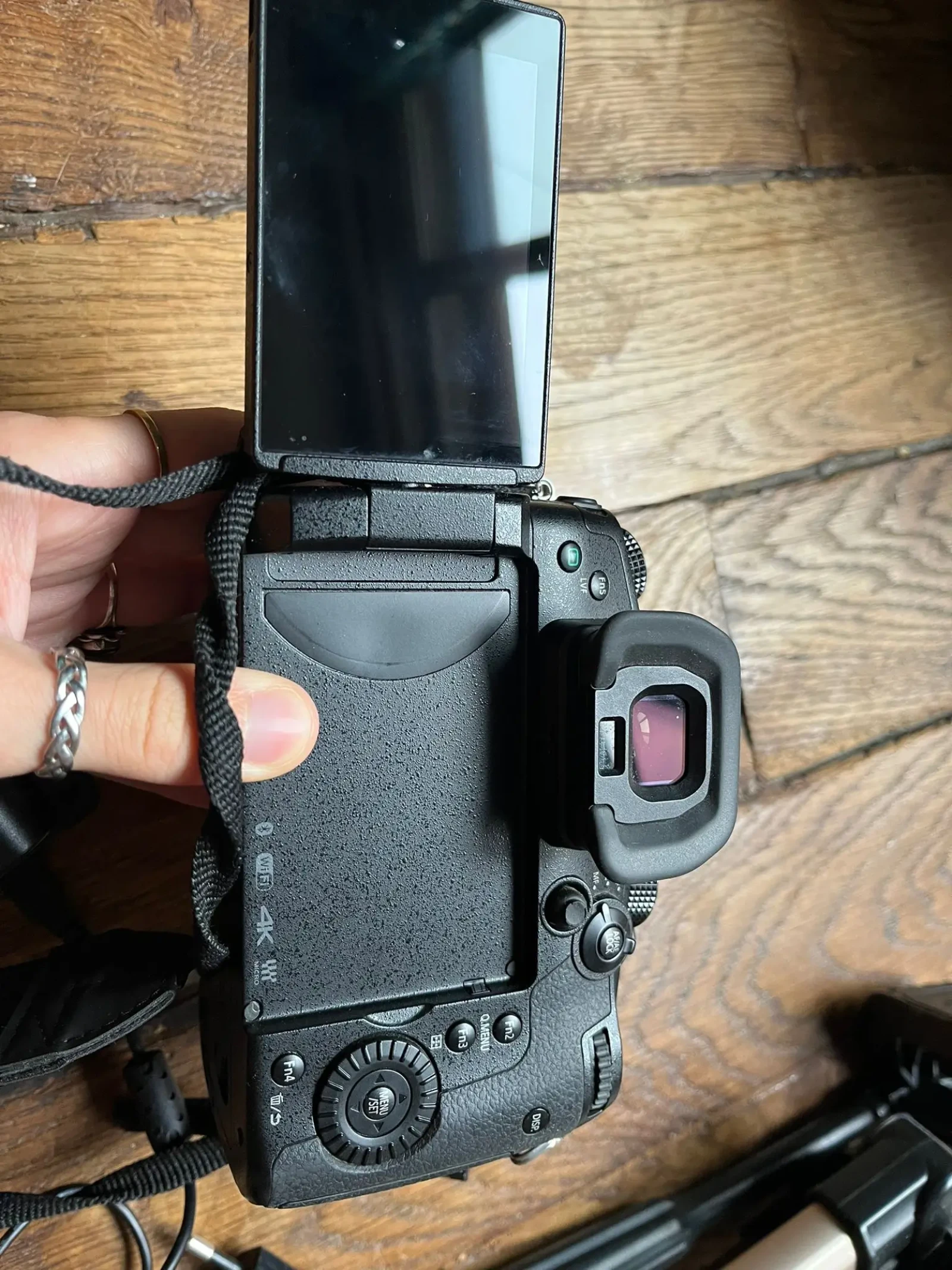 Panasonic LUMIX GH5S - Photo 4 sur 4