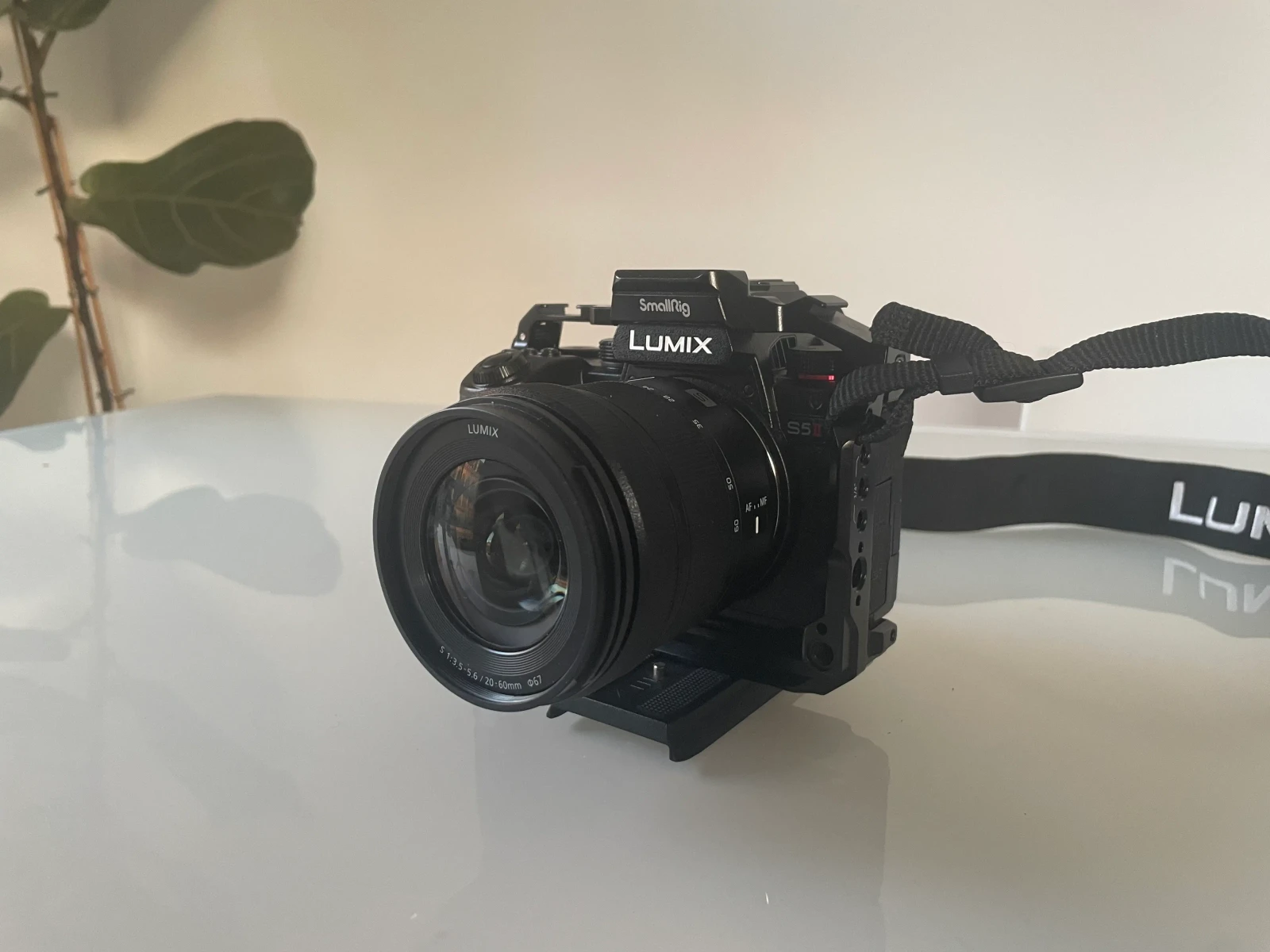 Panasonic Lumix S5 II - Photo 1 sur 5