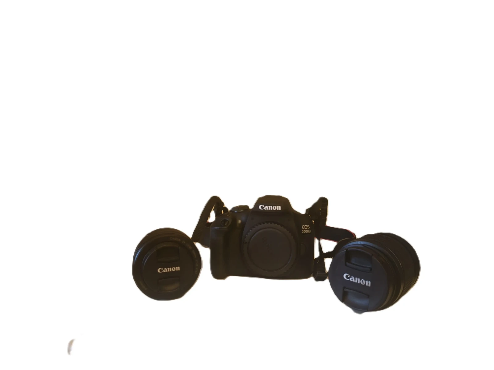 Canon EOS 2000D - Photo 1 sur 1