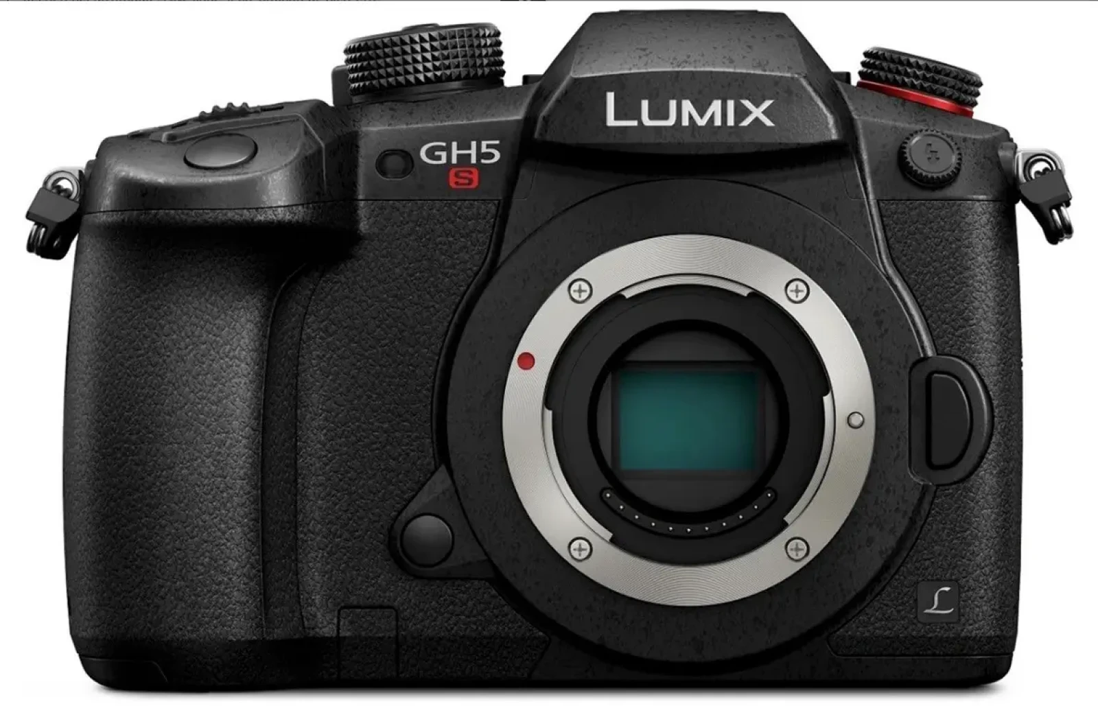 Panasonic LUMIX GH5S - Photo 1 sur 1