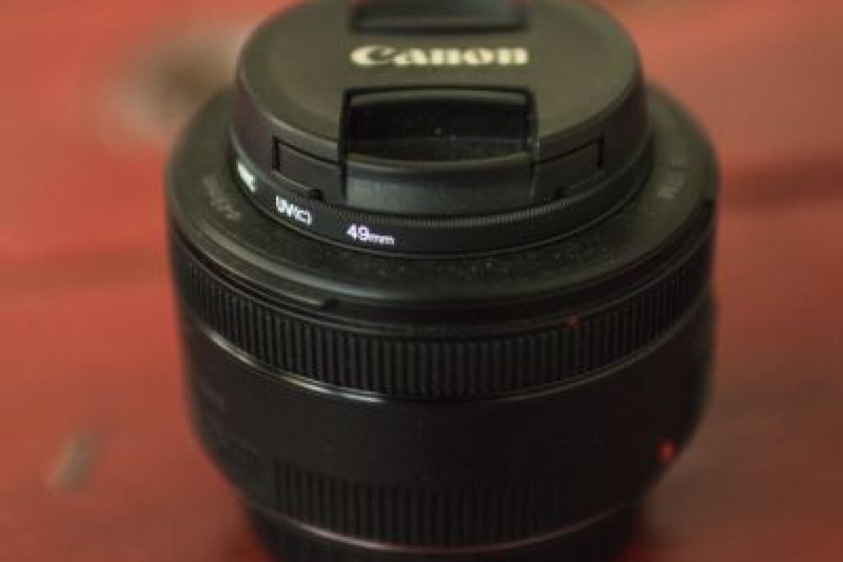Location Canon 50mm f/1.8 STM - Lightyshare