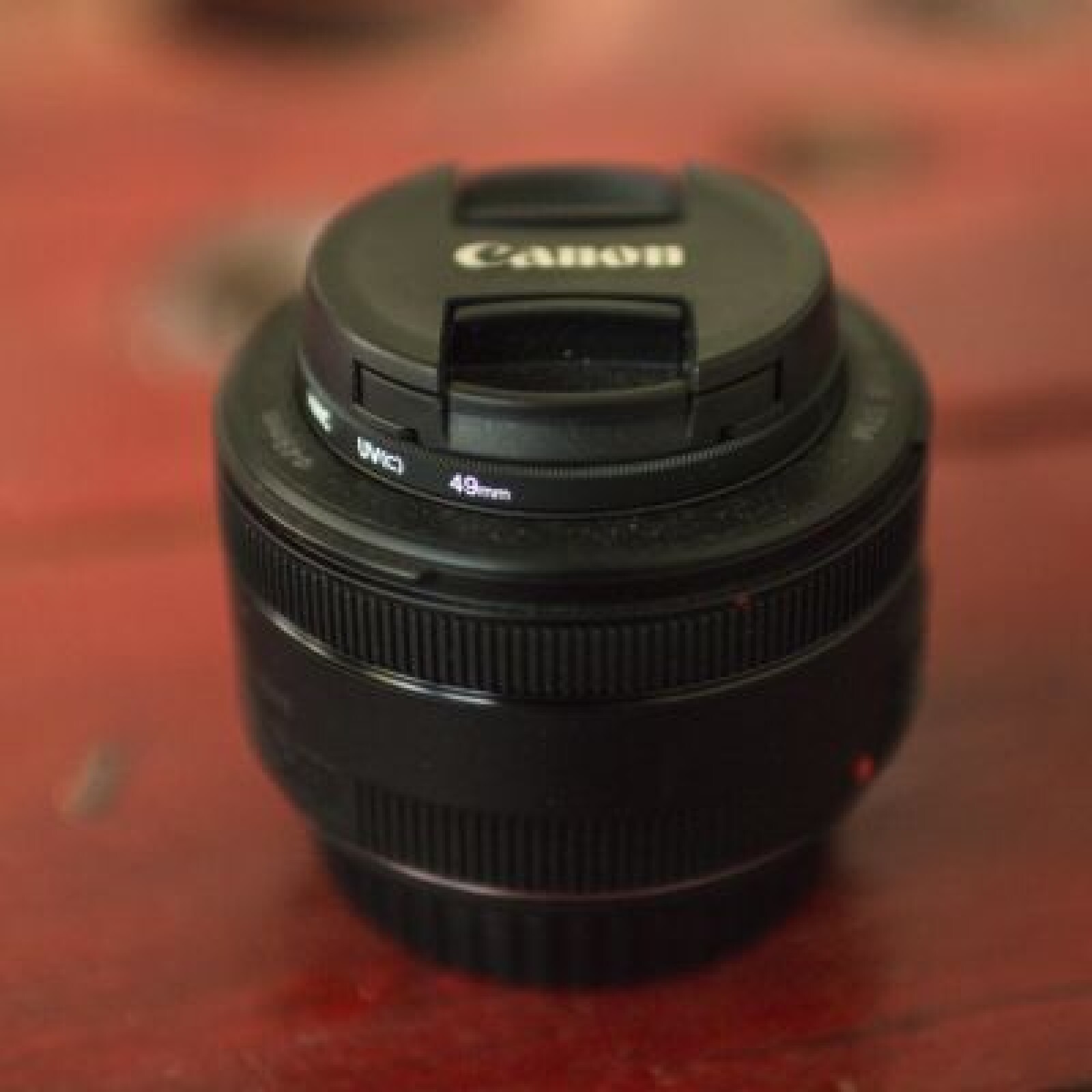 Canon 50mm f/1.8 STM - Photo 1 sur 2