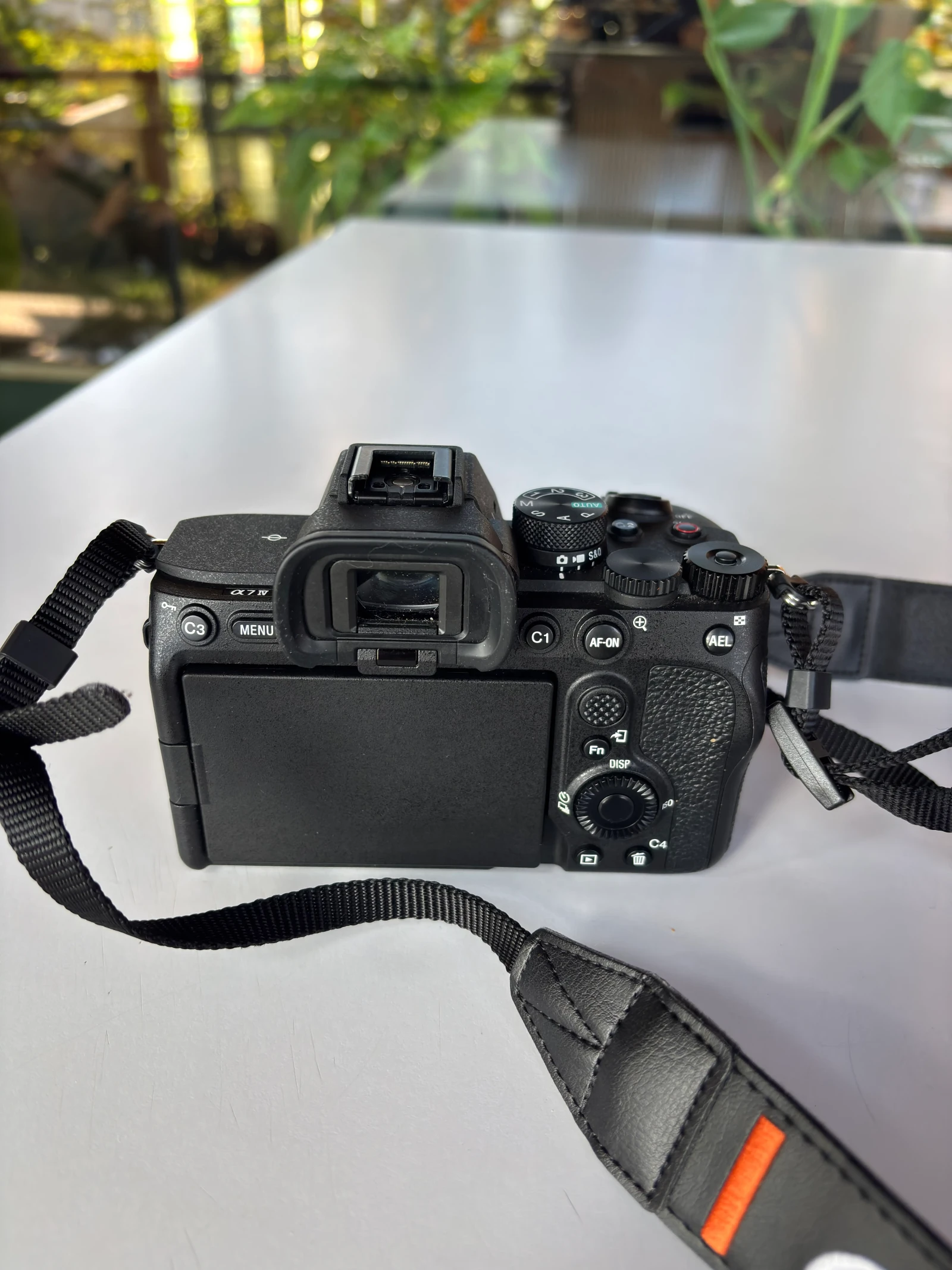 Sony Alpha 7iv - Photo 2 sur 5