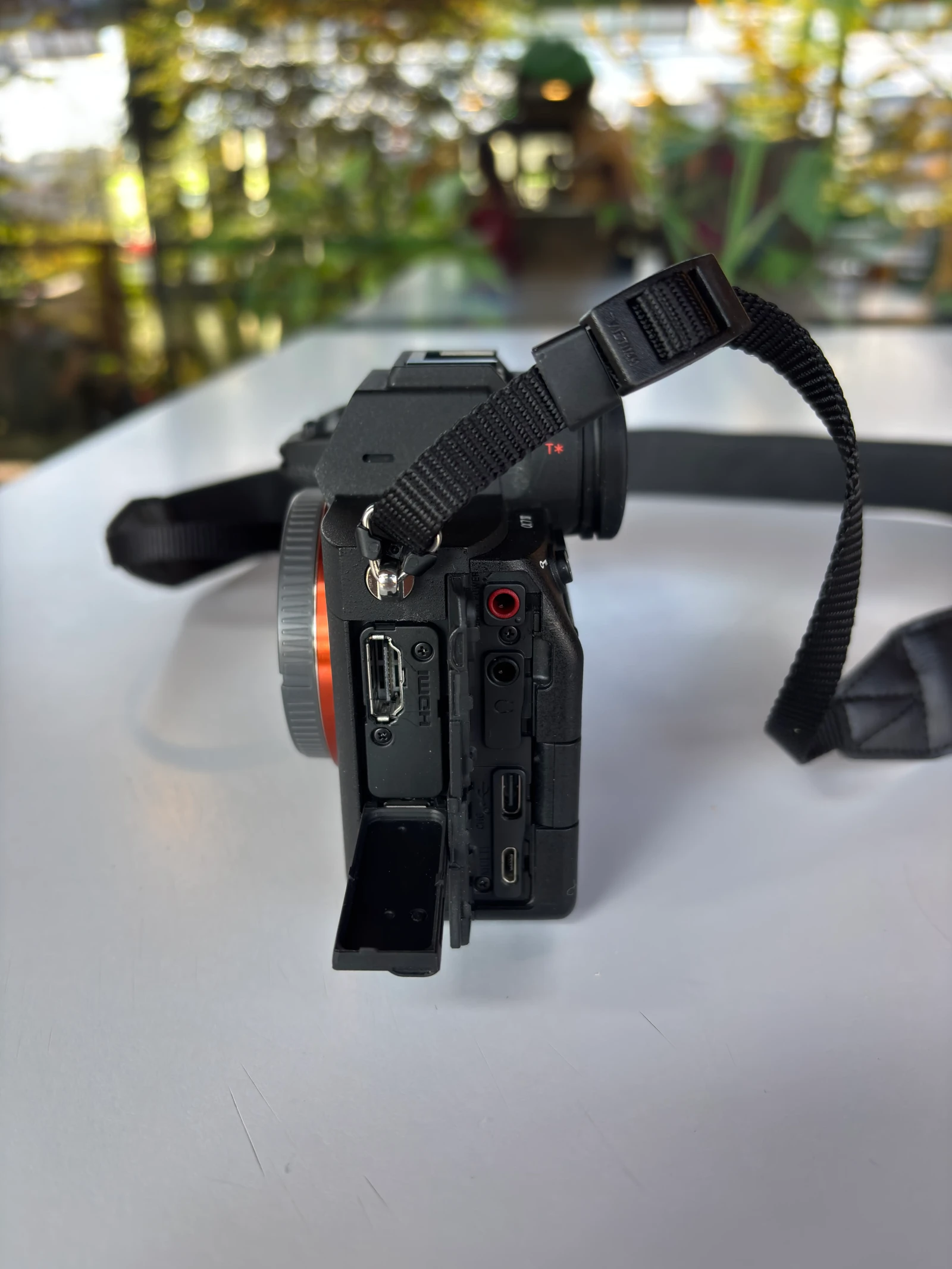 Sony Alpha 7iv - Photo 4 sur 5