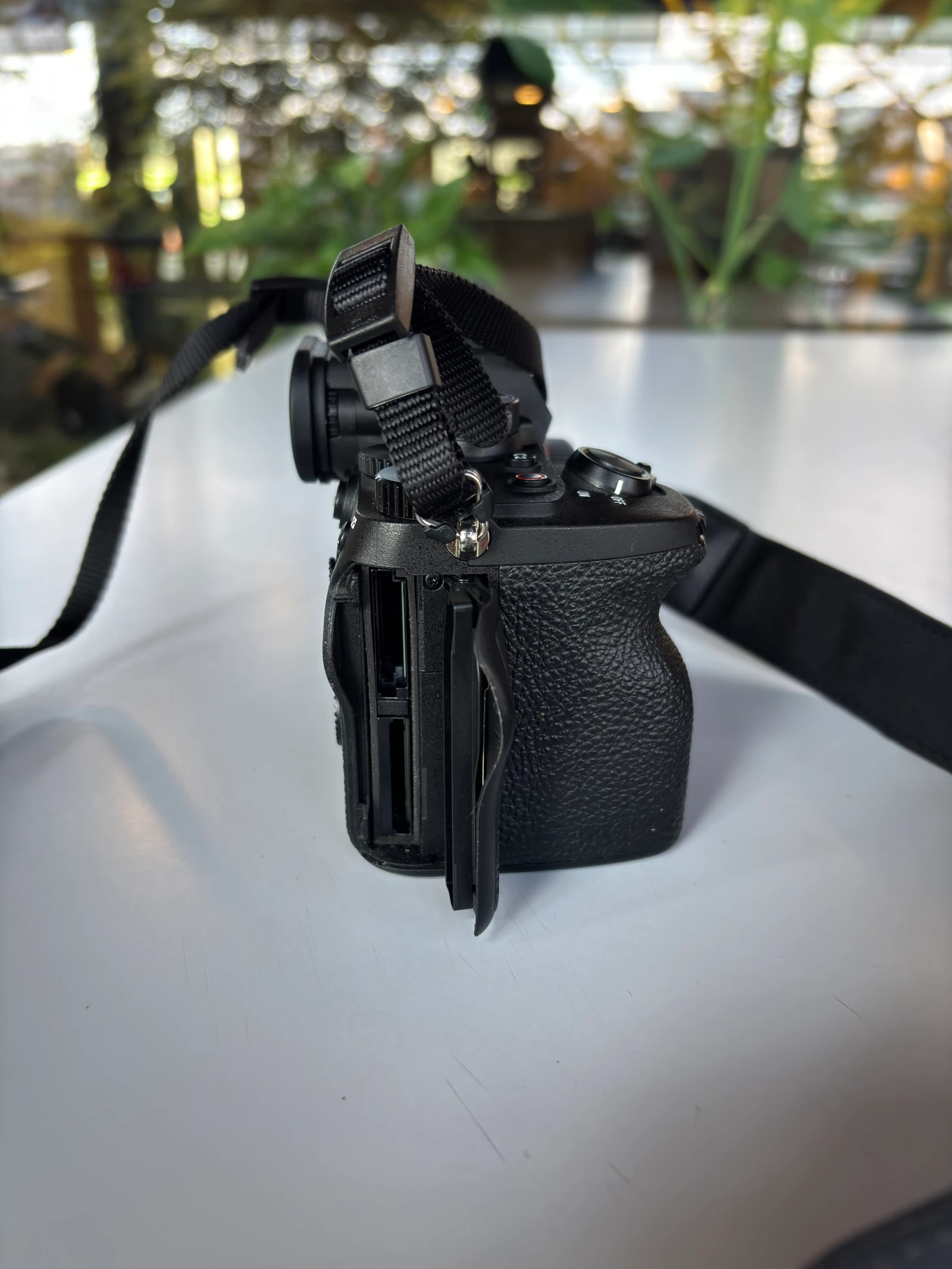 Sony Alpha 7iv - Photo 5 sur 5