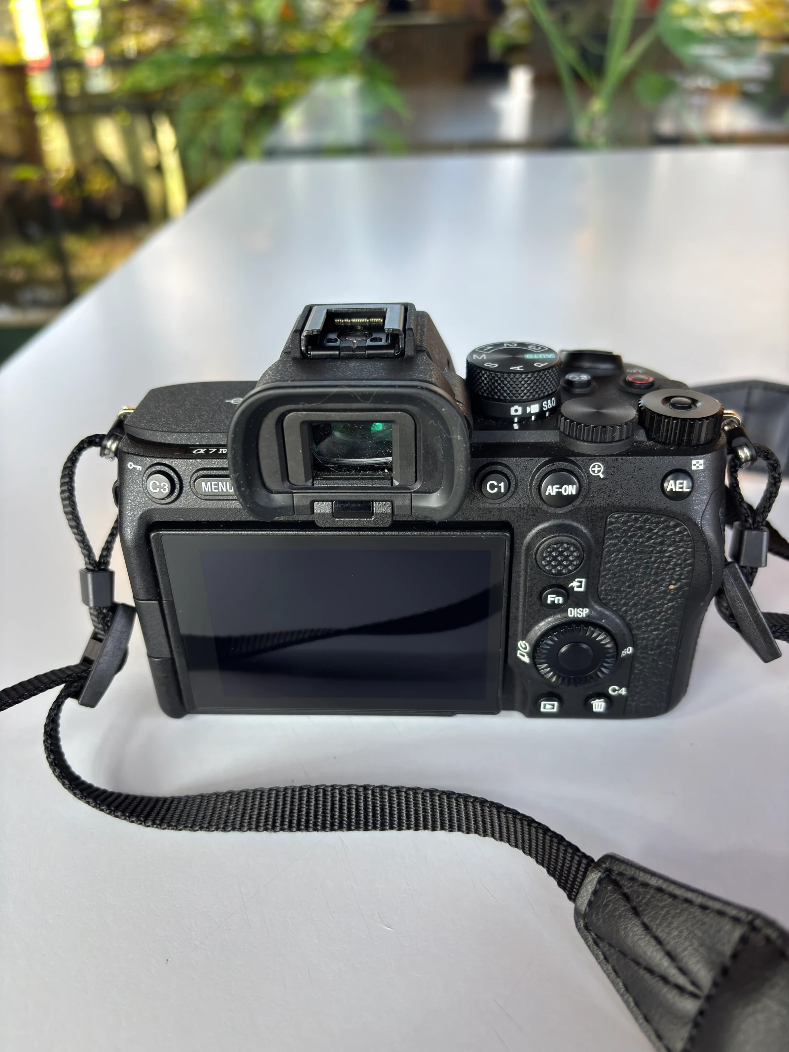Sony Alpha 7iv - Photo 3 sur 5