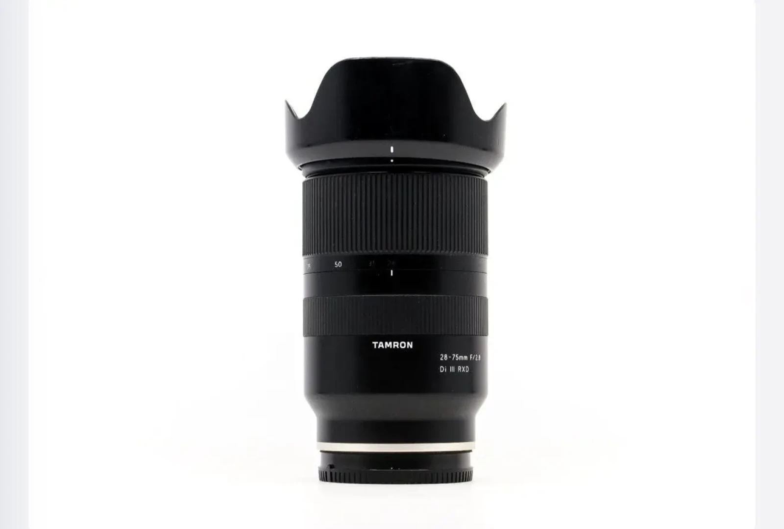 Sony Alpha 7 IV (A74) - Photo 5 sur 5