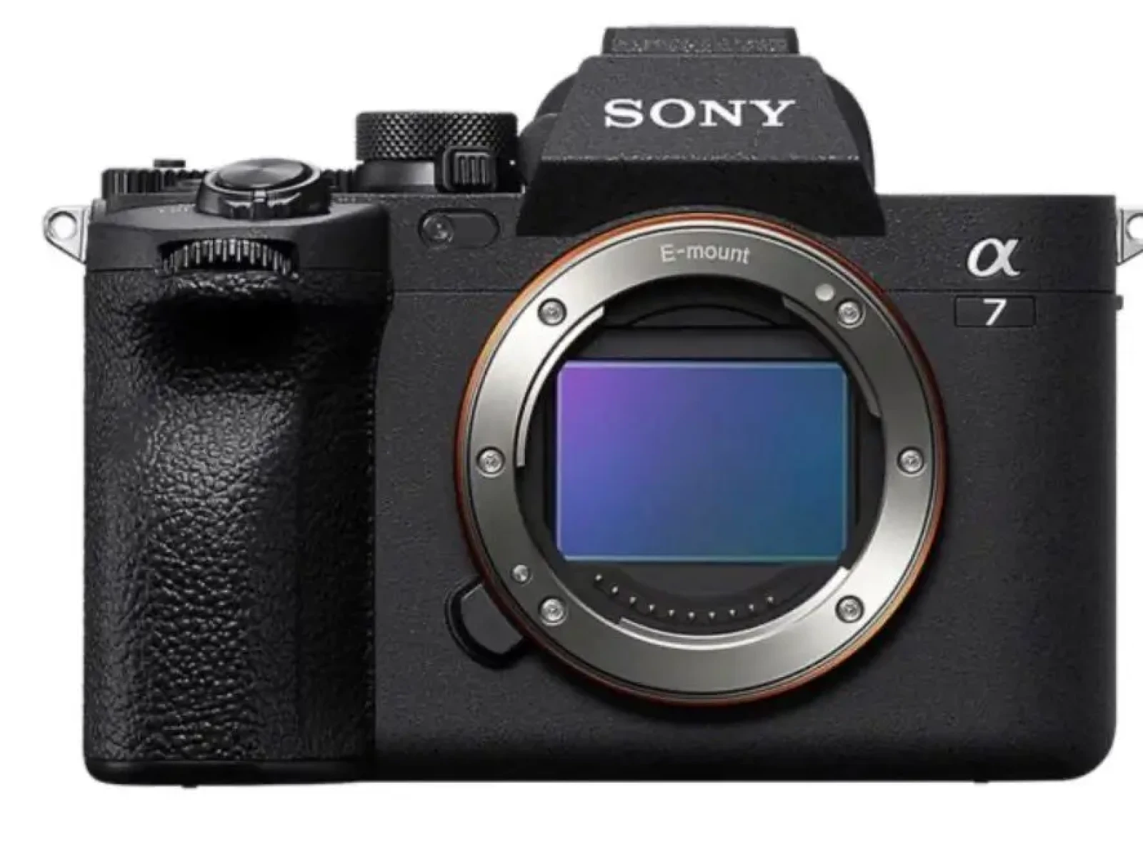 Sony Alpha 7 IV (A74) - Photo 2 sur 5