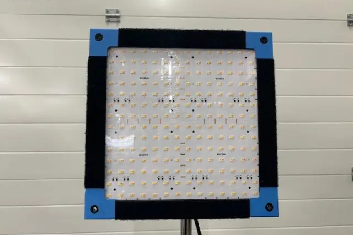 Location Exalux LedZep Punch 1x2 - Lightyshare