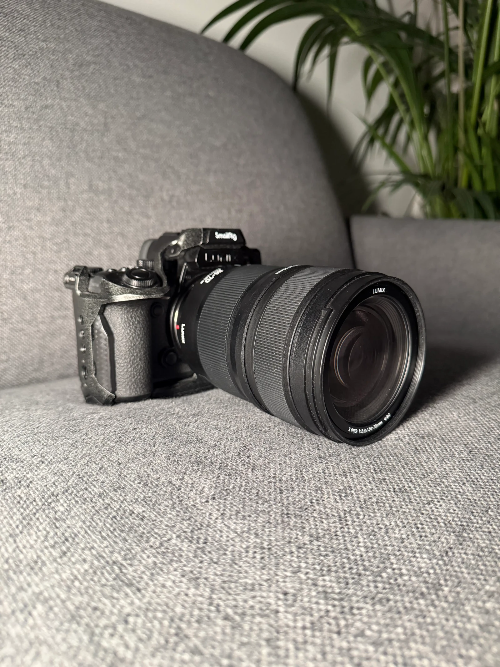 LUMIX S5 2X + 24-70 S PRO f/2.8 - Photo 3 sur 3