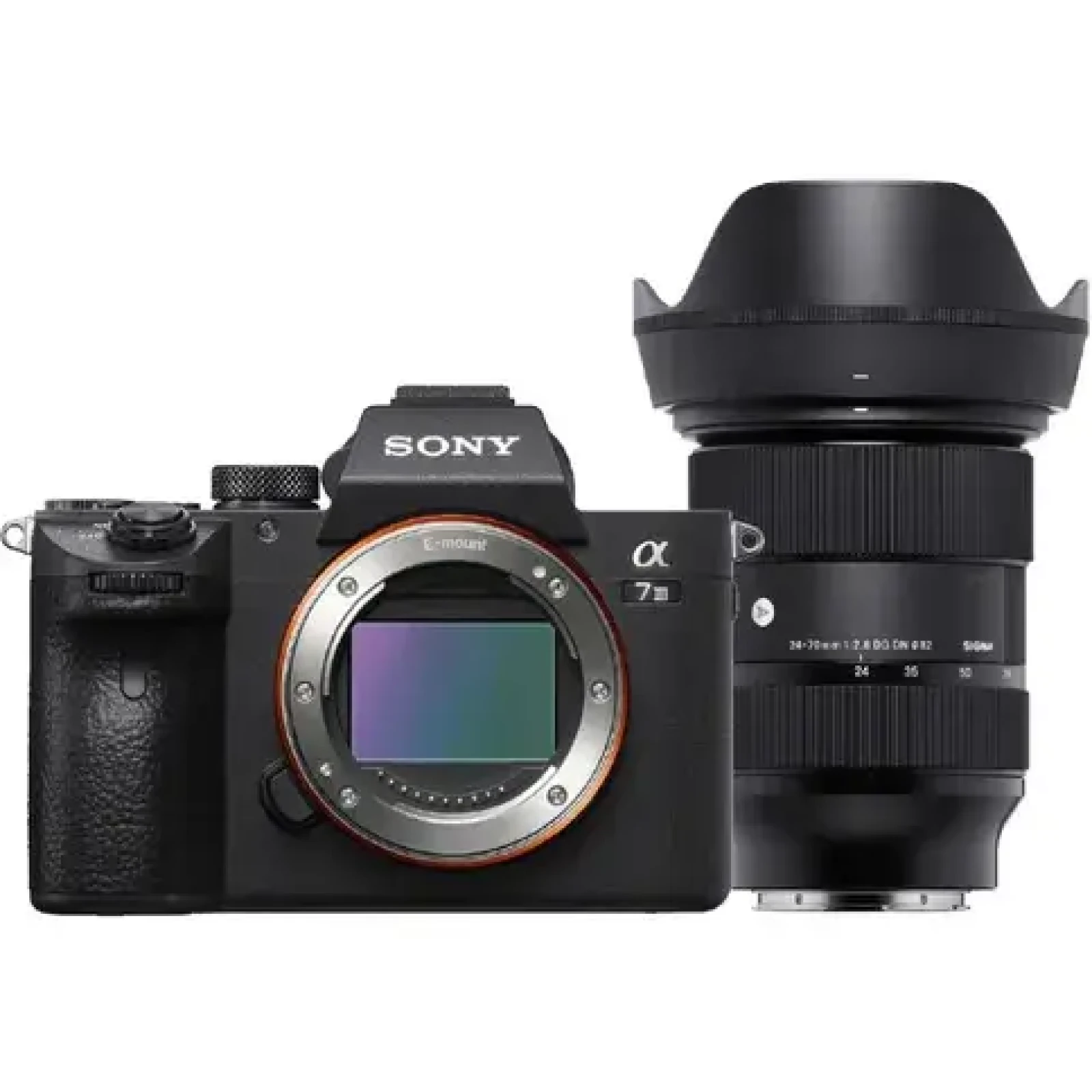 Sony A7S III + 24-70 2.8 (run & gun) - Photo 1 sur 1