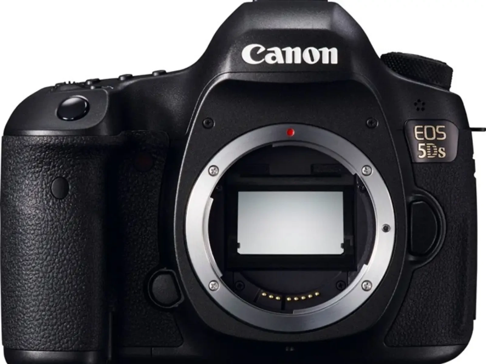 Canon 5DS - Photo 1 sur 1